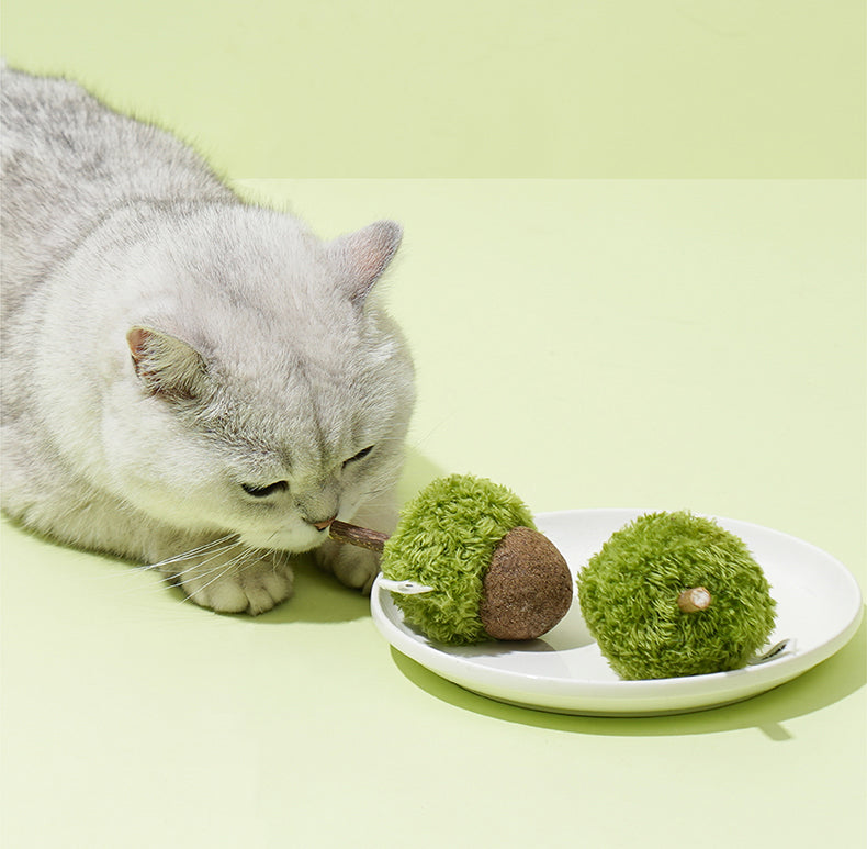 Brinquedo para gatos - Bola Catnip com Matatabi Acorn- zeze