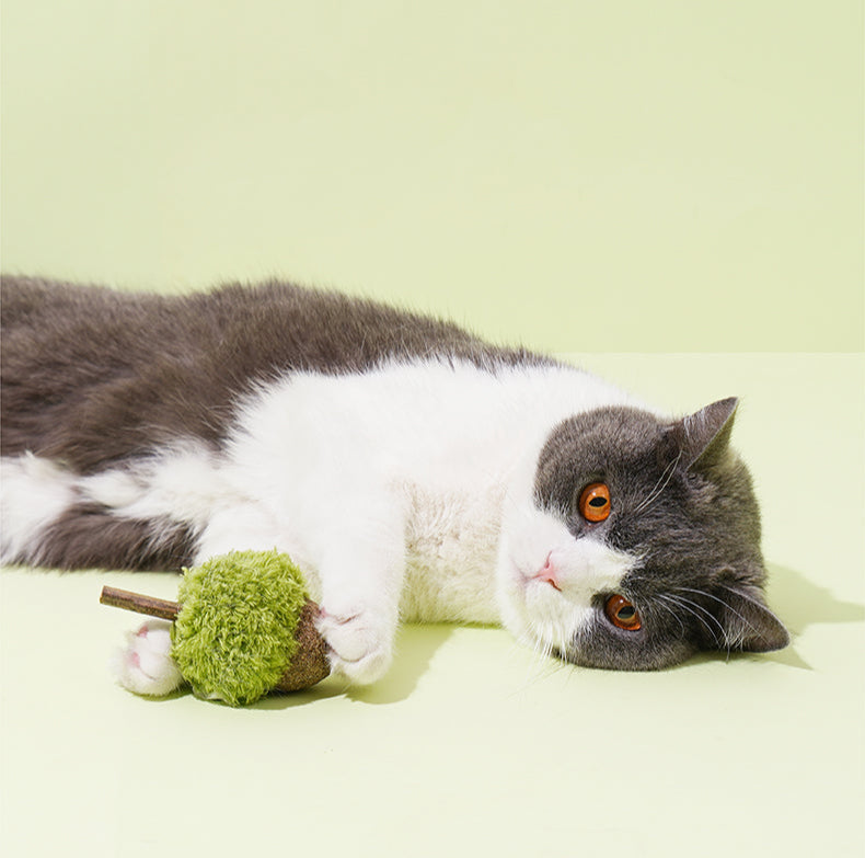 Brinquedo para gatos - Bola Catnip com Matatabi Acorn- zeze