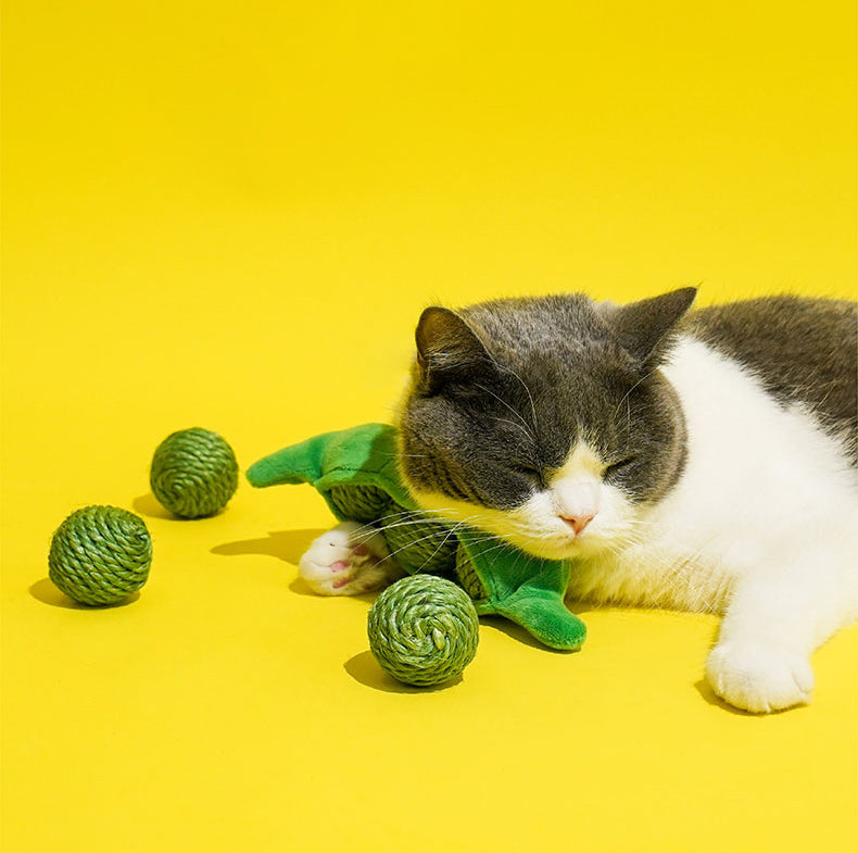 Brinquedo para gatos - Saco de Nozez Ervilha- zeze
