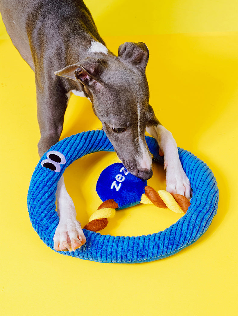 Brinquedo para cachorros zeze - Mordedor com Corda Volante - Azul