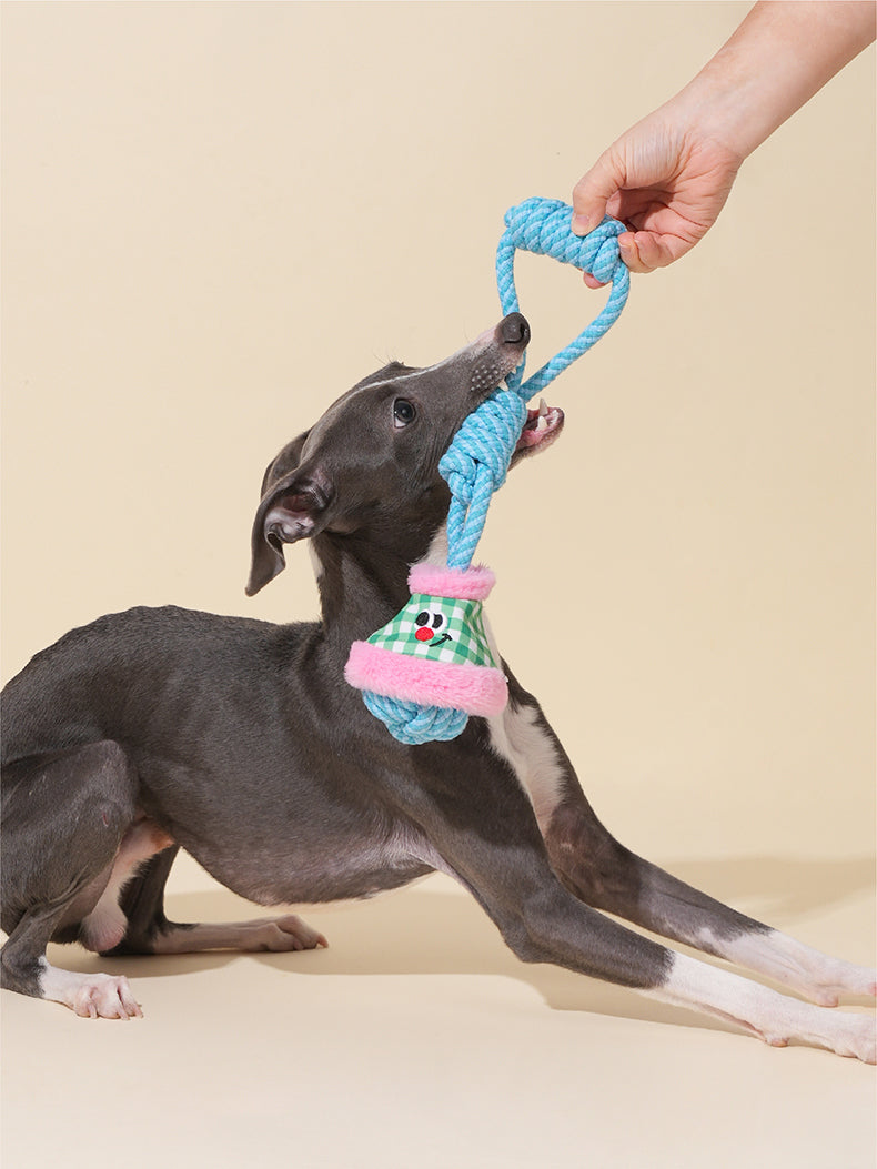 Brinquedo para cachorros zeze - Mordedor com Corda Lampada - Azul