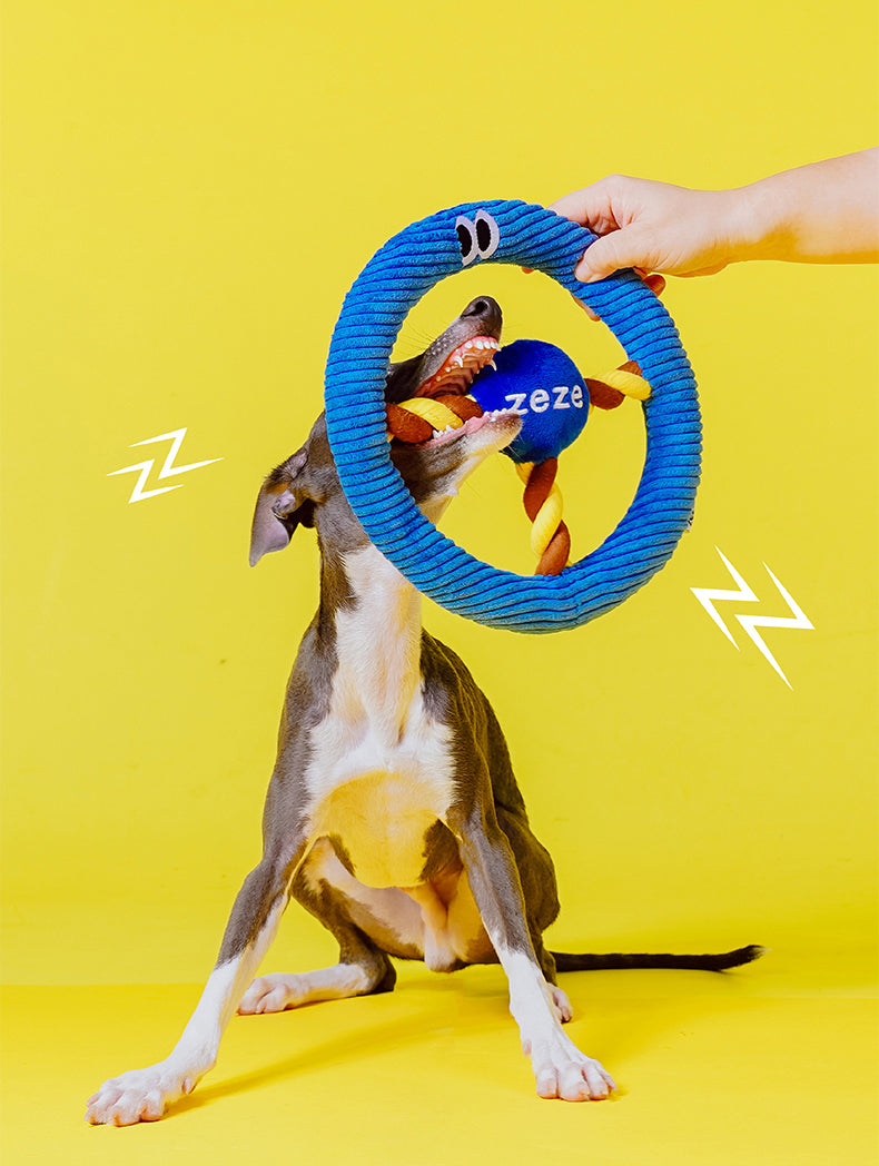 Brinquedo para cachorros zeze - Mordedor com Corda Volante - Azul