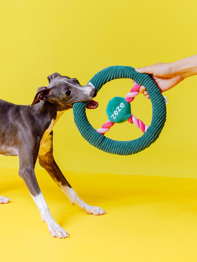Brinquedo para cachorros zeze - Mordedor com Corda Volante - Verde