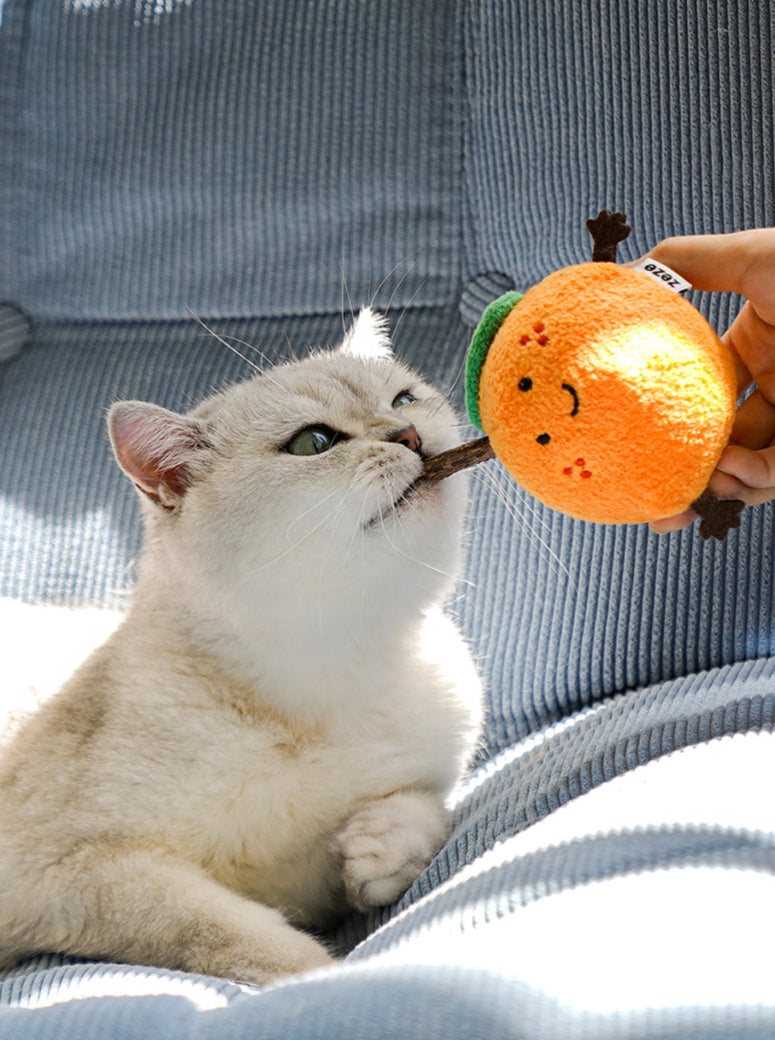zeze Brinquedo para gatos - Pirulito de Matatbi com Catnip - Tangerina