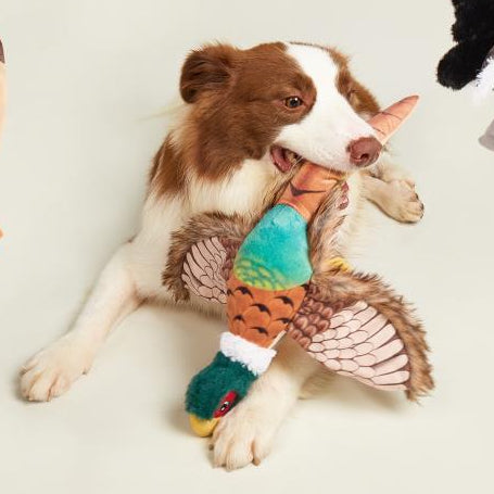 FOFOS Brinquedos para Cães - Reino Selvagem - Faisão