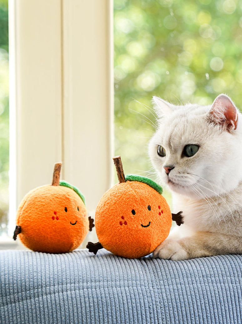 zeze Brinquedo para gatos - Pirulito de Matatbi com Catnip - Tangerina