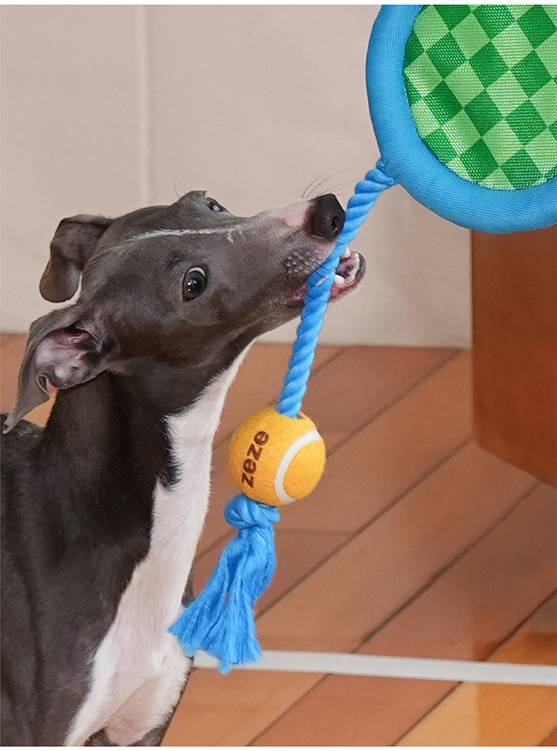 Brinquedo para cachorros zeze - Mordedor com Corda Kit Tennis - Azul