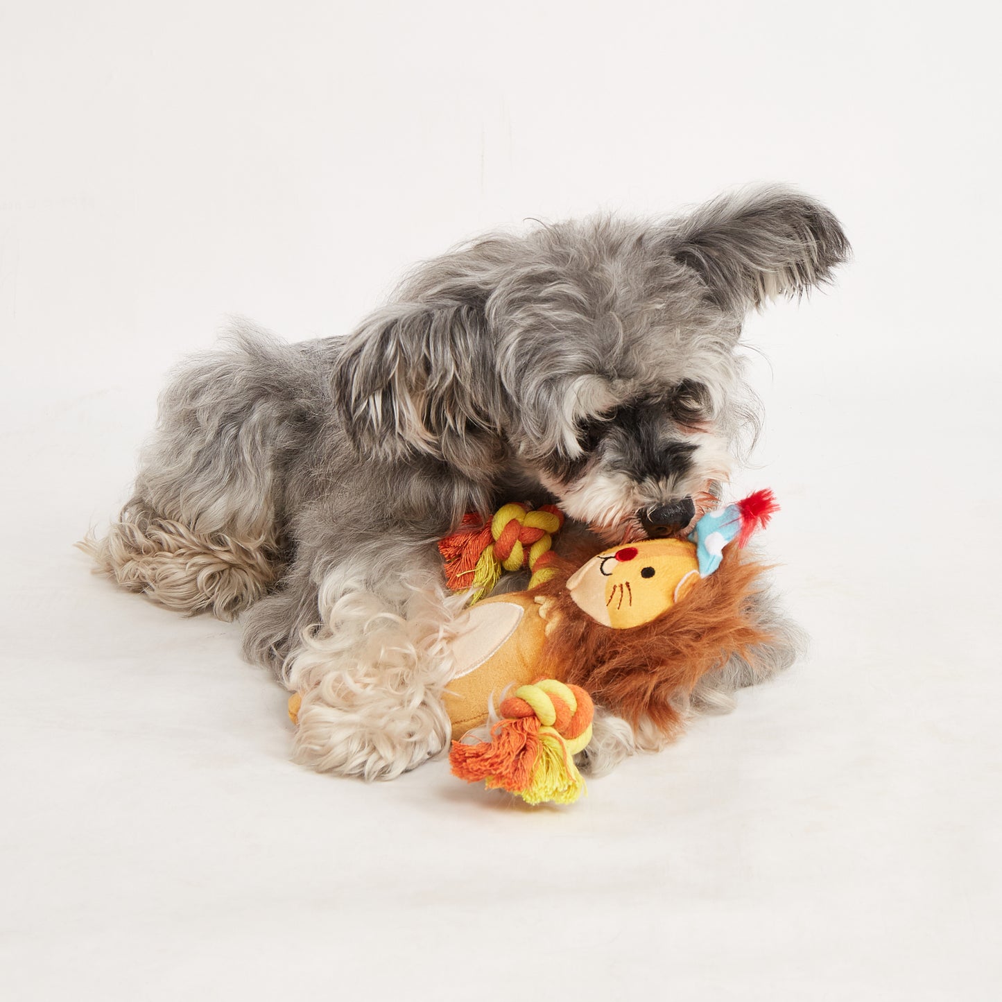 FOFOS Brinquedos para Cães - Festa em Casa - Leão