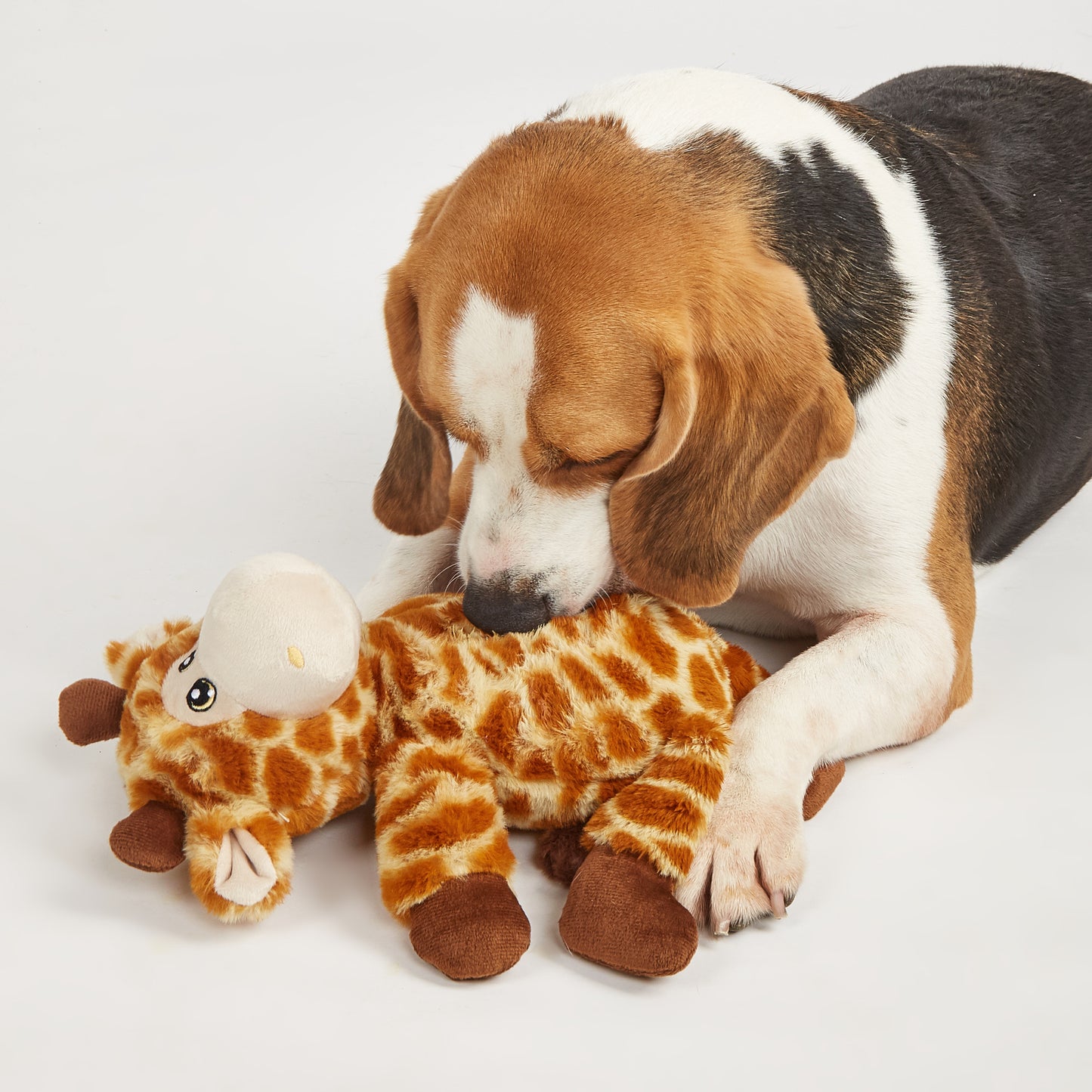FOFOS Brinquedos para Cães - Reino Selvagem - Girafa