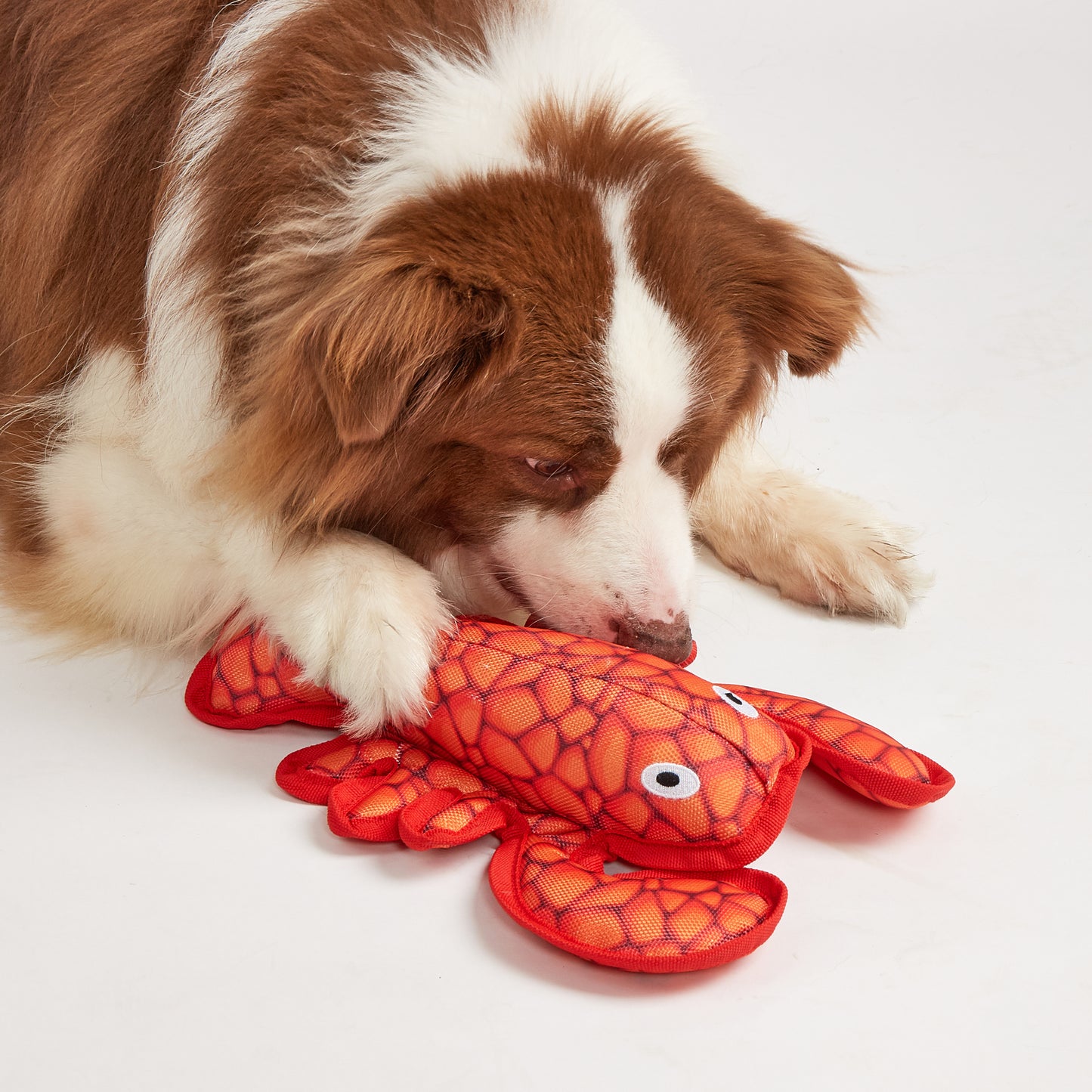FOFOS Brinquedos para Cães - A Vida no Mar - Lagosta