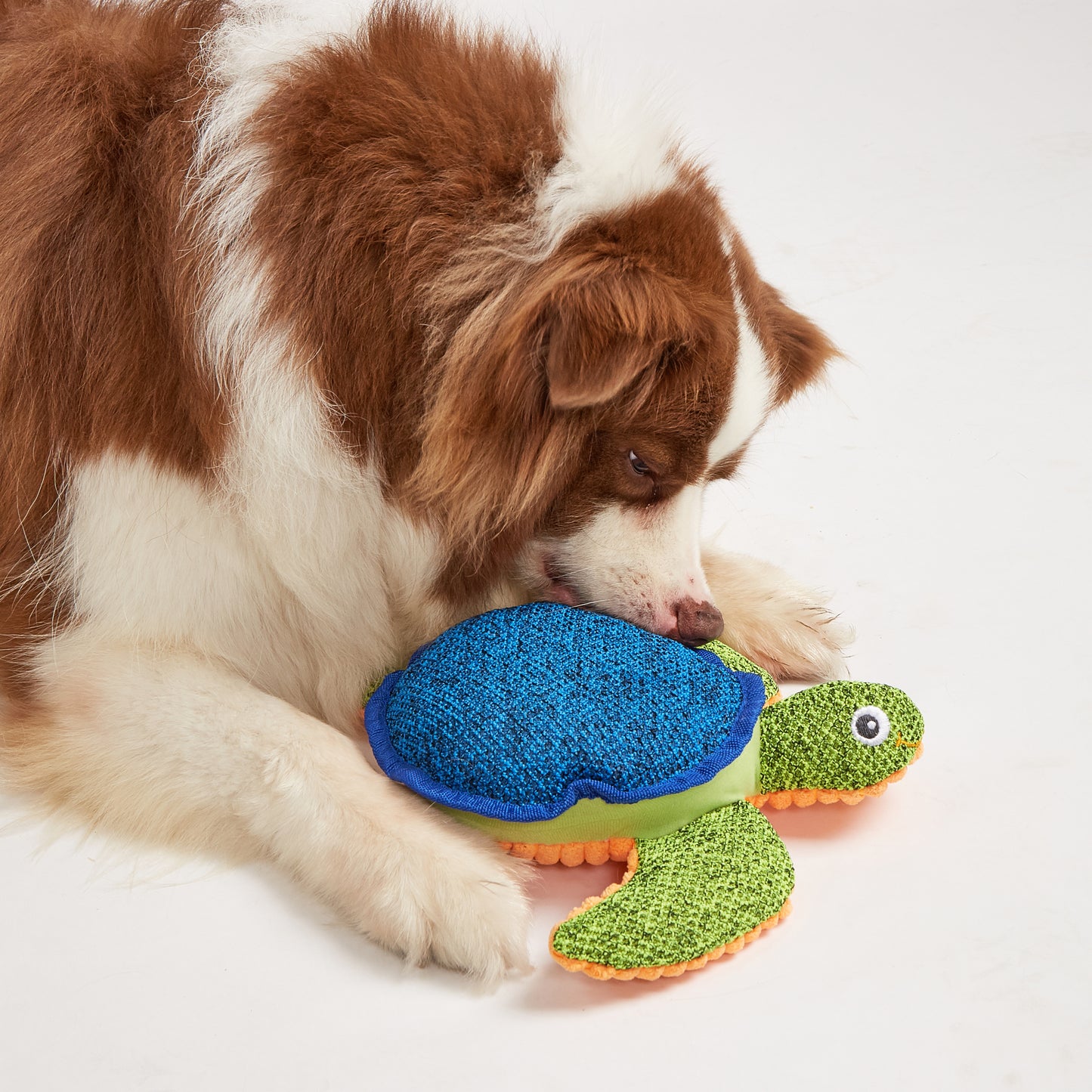 FOFOS Brinquedos para Cães - A Vida no Mar - Tartaruga