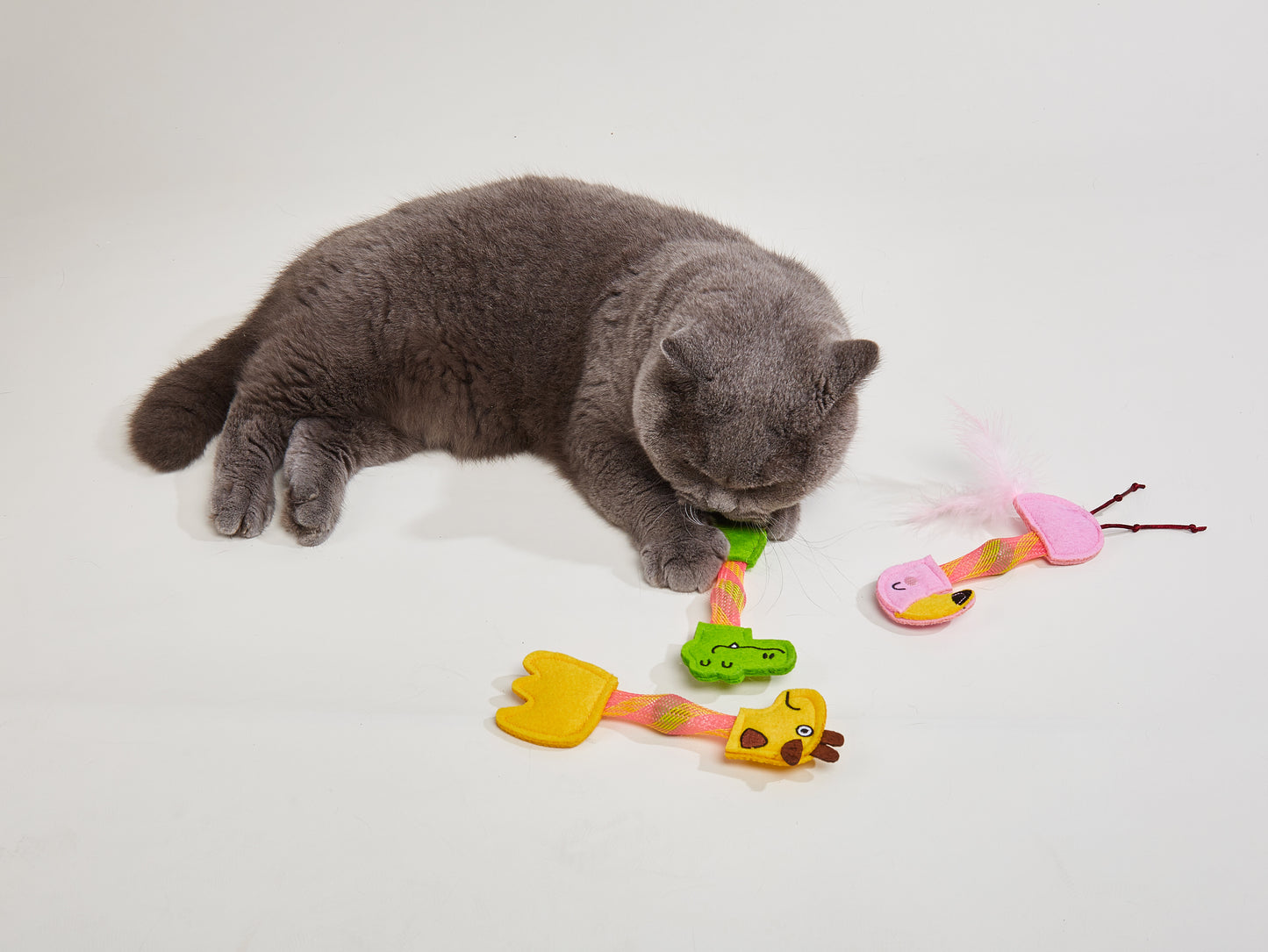 FOFOS Brinquedos para Gatos - Animais Pulam Pulam - Crocodilo