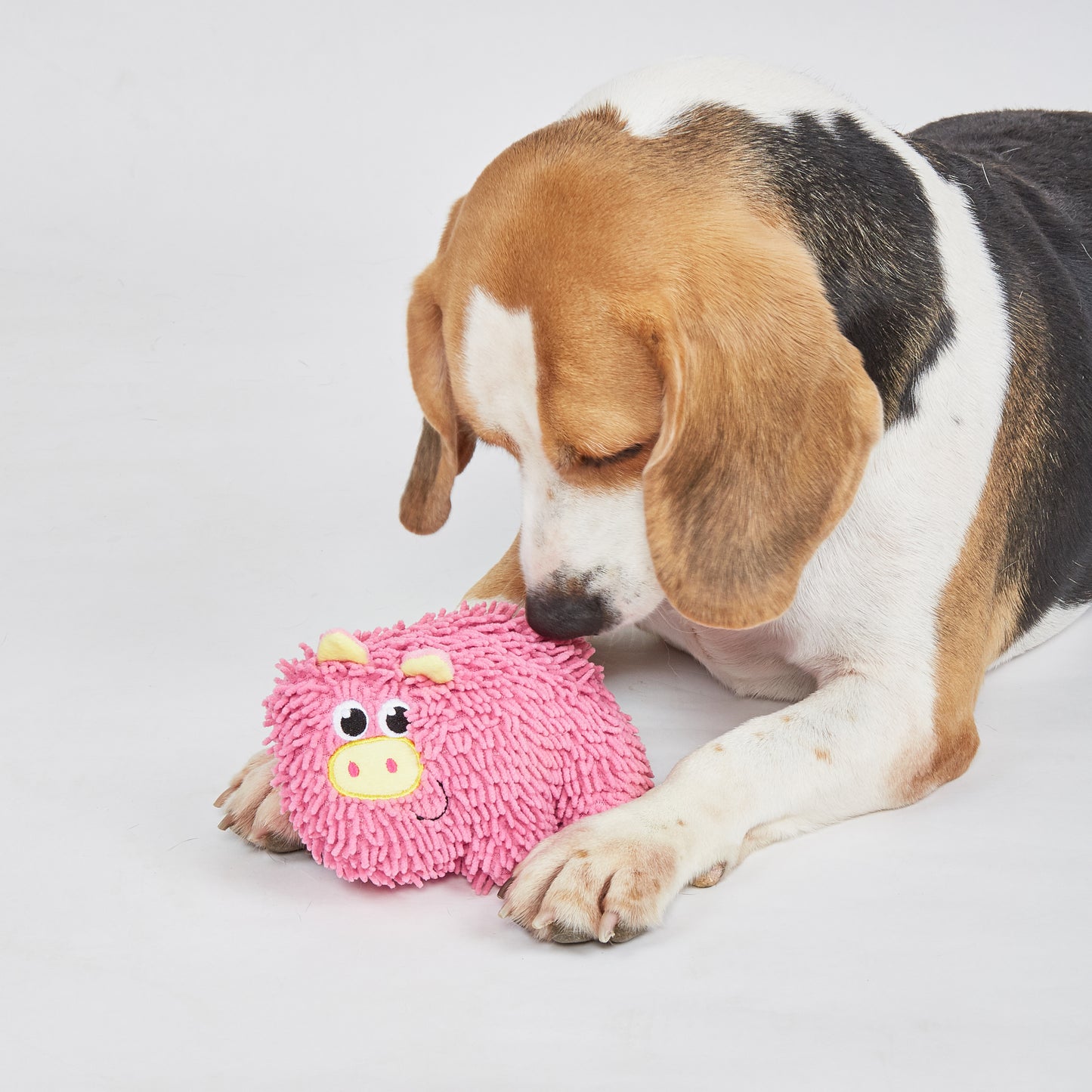 FOFOS Brinquedos para Cães - Chenille Puppy Tough Animais - Porco