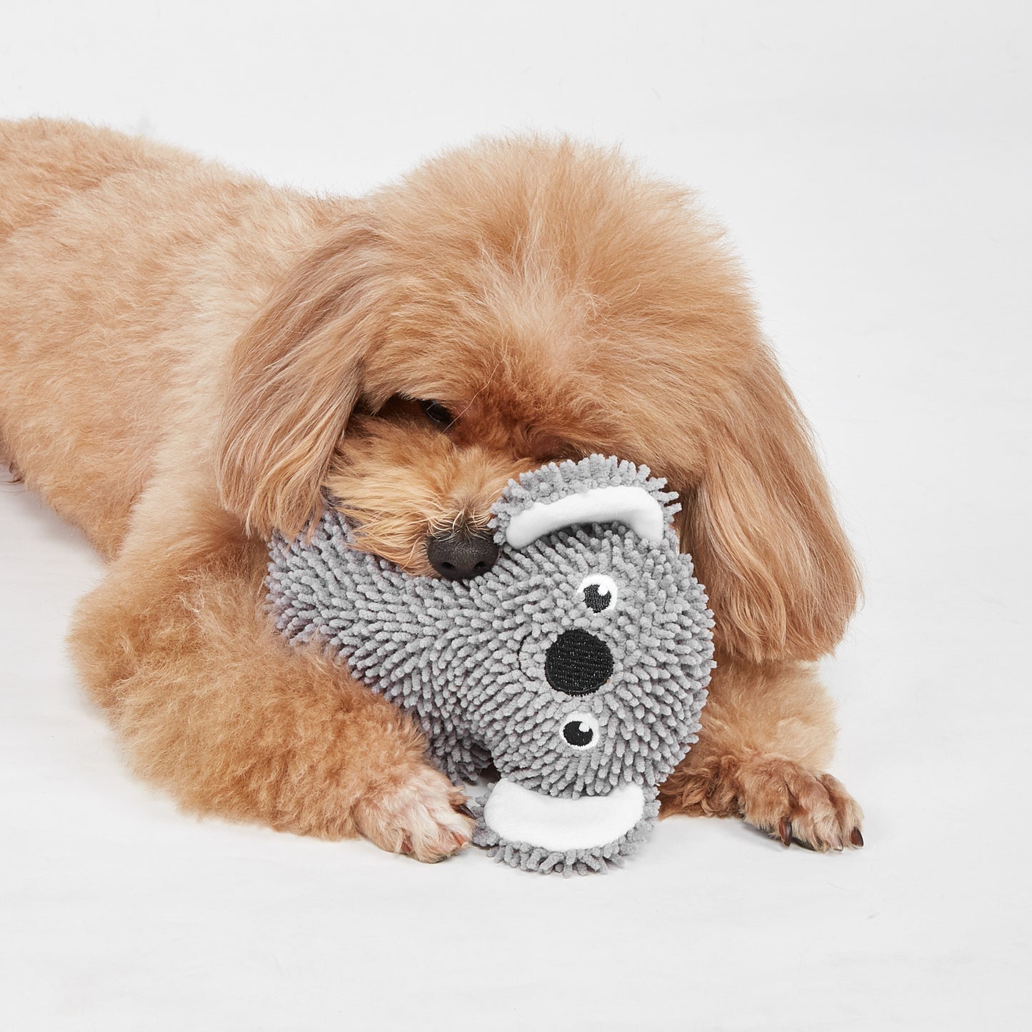 FOFOS Brinquedos para Cães - Chenille Puppy Tough Animais - Koala