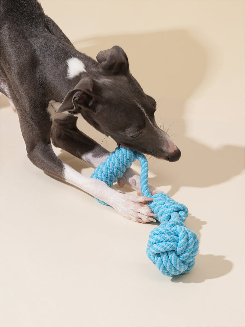 Brinquedo para cachorros zeze - Mordedor com Corda Lampada - Azul