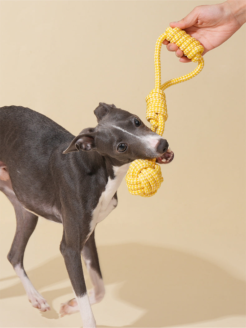 Brinquedo para cachorros zeze - Mordedor com Corda Lampada - Amarelo