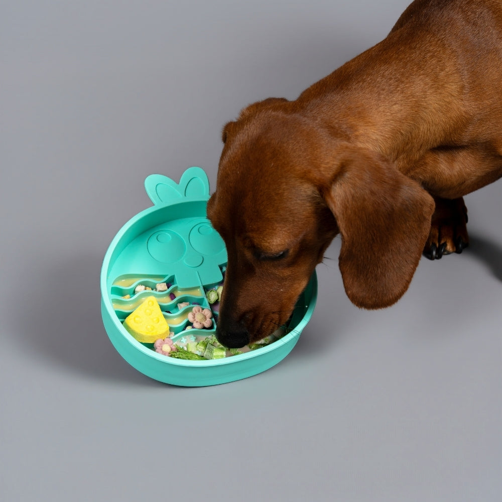 Comedouro Lento de Silicone para Pets Coelho Azul - QMonster