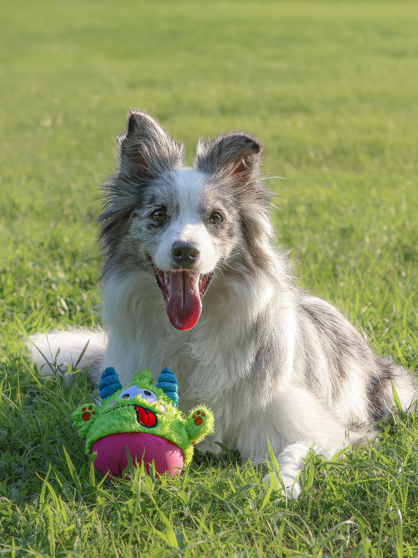 Qmonster Brinquedo para cachorro - 2em1 João Bobo - Verde