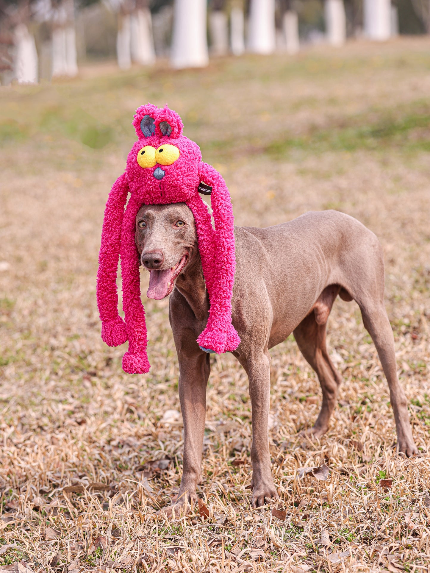 Qmonster Brinquedo para cachorro - Extensível Puxa Puxa Coelho - Rosa
