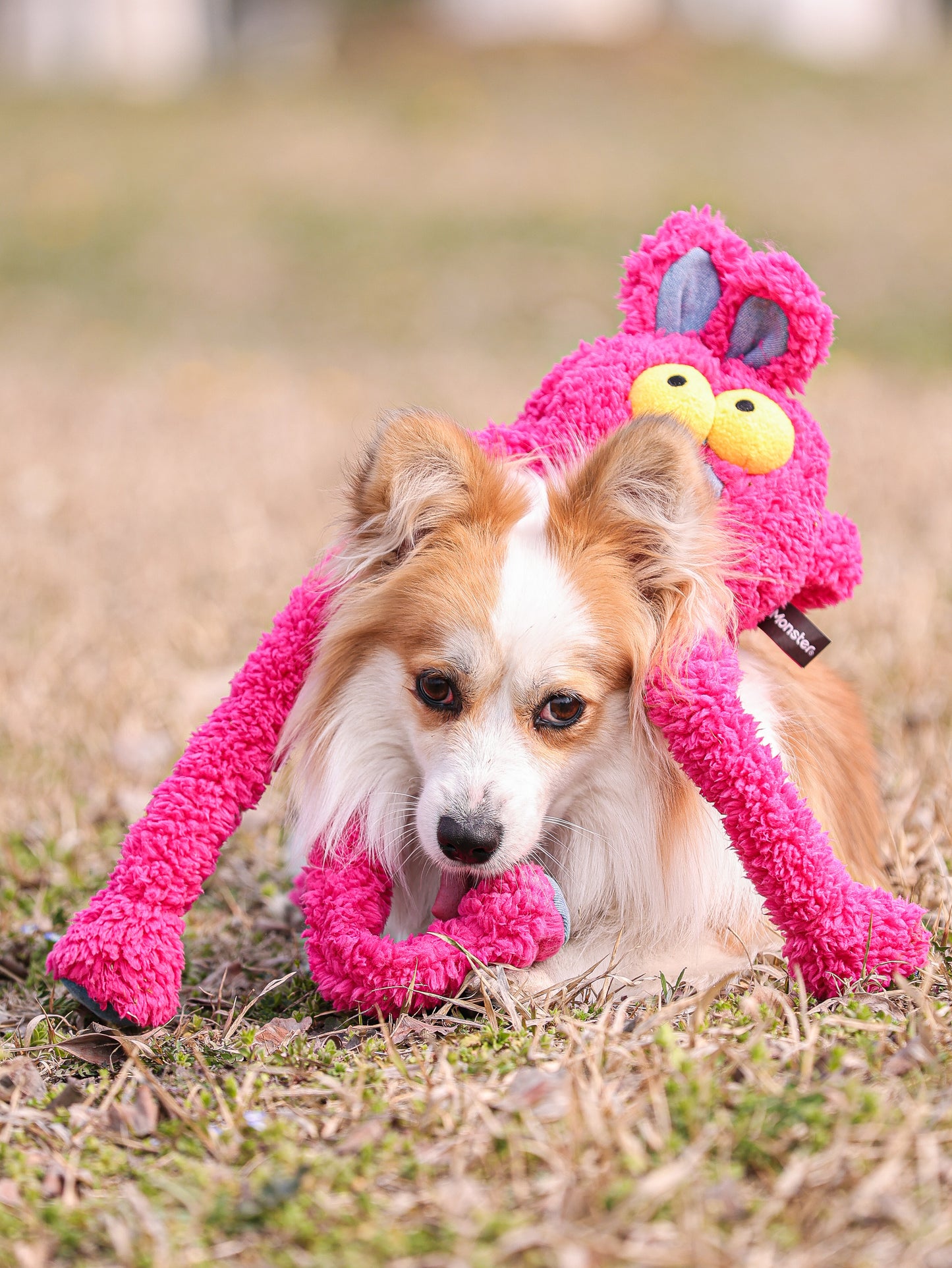 Qmonster Brinquedo para cachorro - Extensível Puxa Puxa Coelho - Rosa