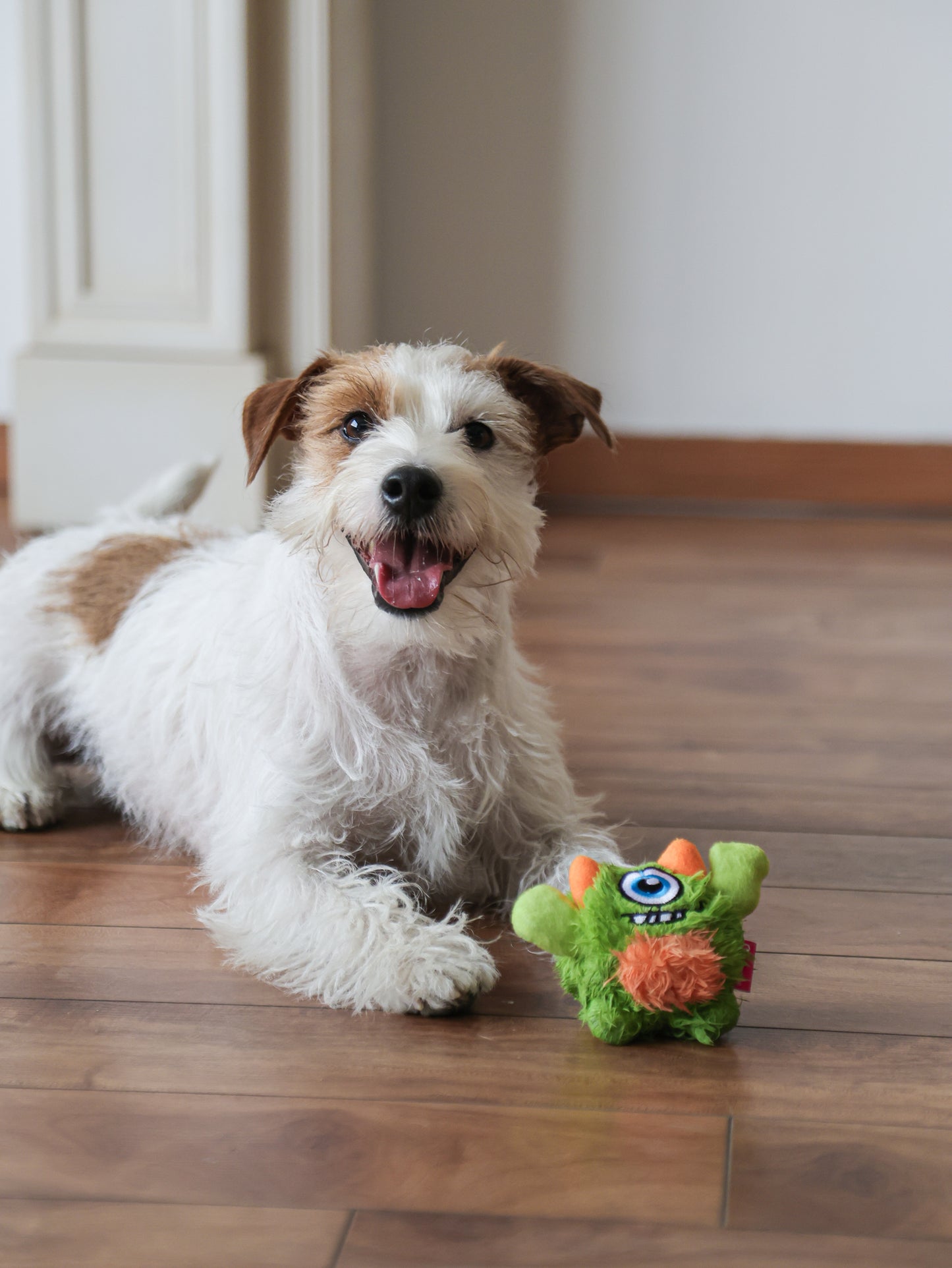 Qmonster Brinquedo para cachorro - 2in1 Monstro Gen One - Verde Pequeno
