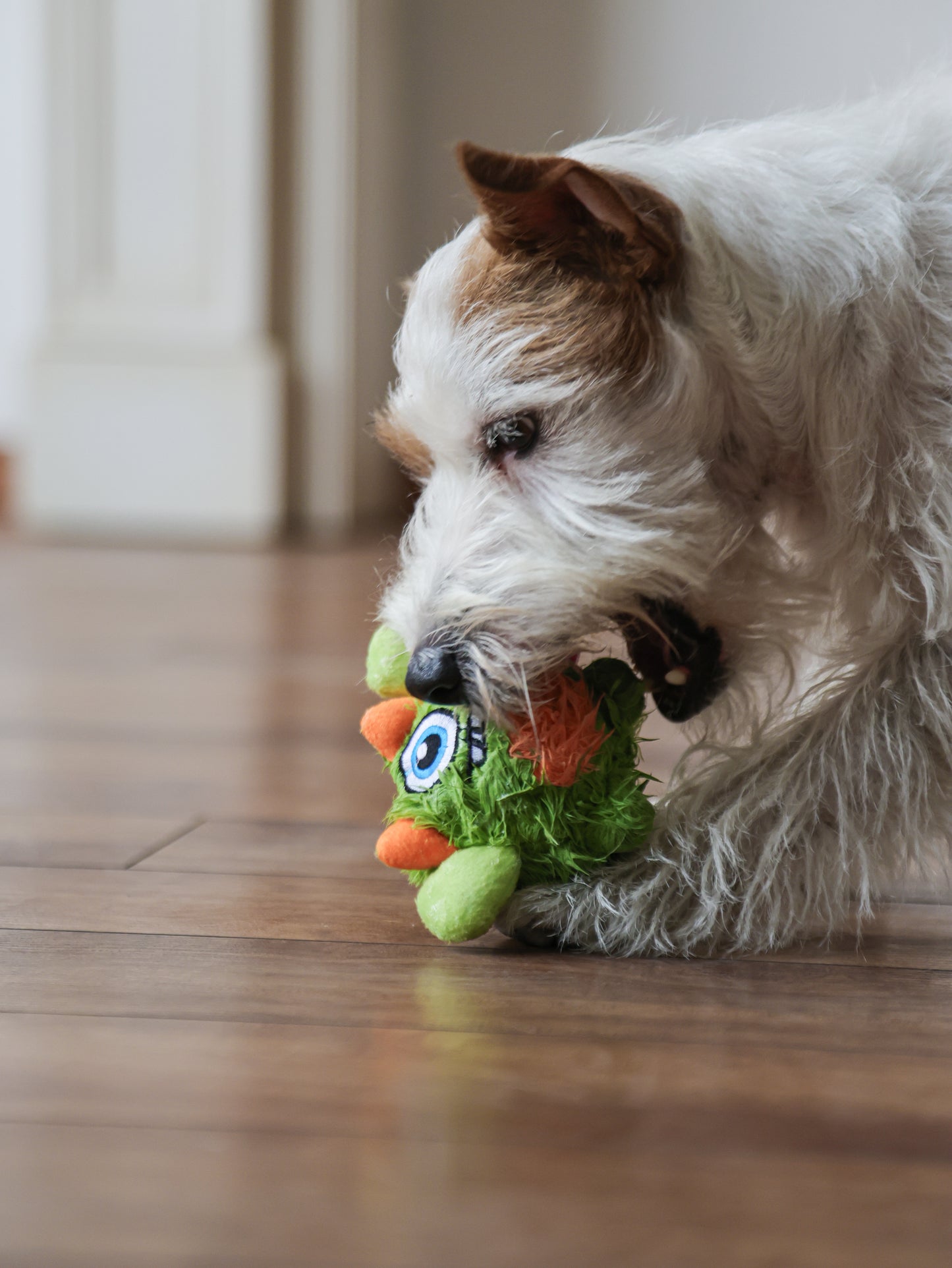 Qmonster Brinquedo para cachorro - 2in1 Monstro Gen One - Verde Pequeno
