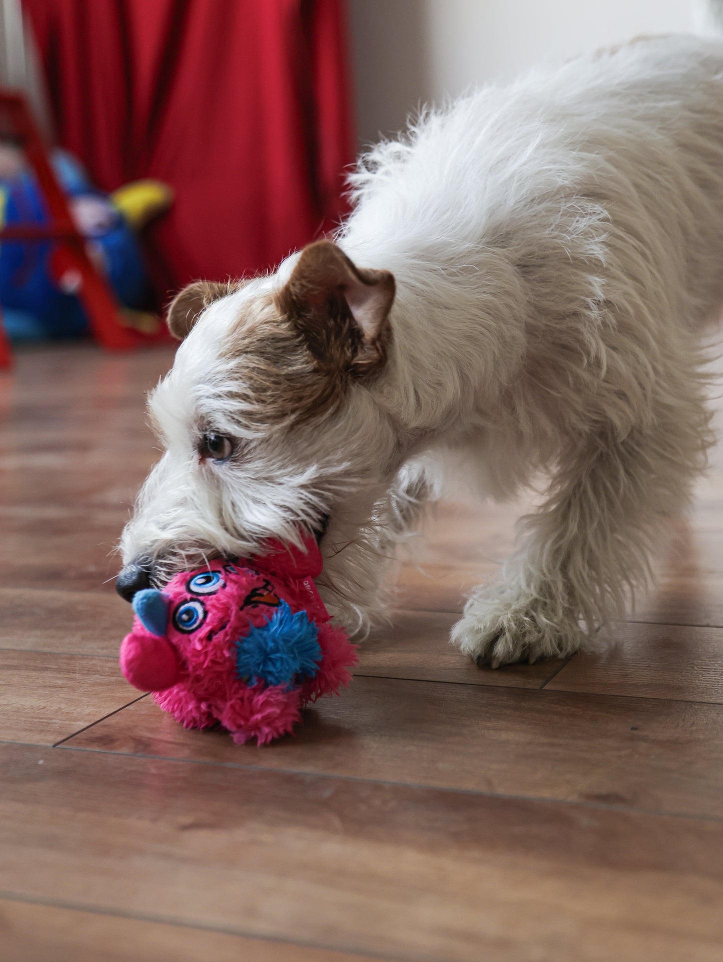 Qmonster Brinquedo para cachorro - 2in1 Monstro Gen One - Rosa Grande
