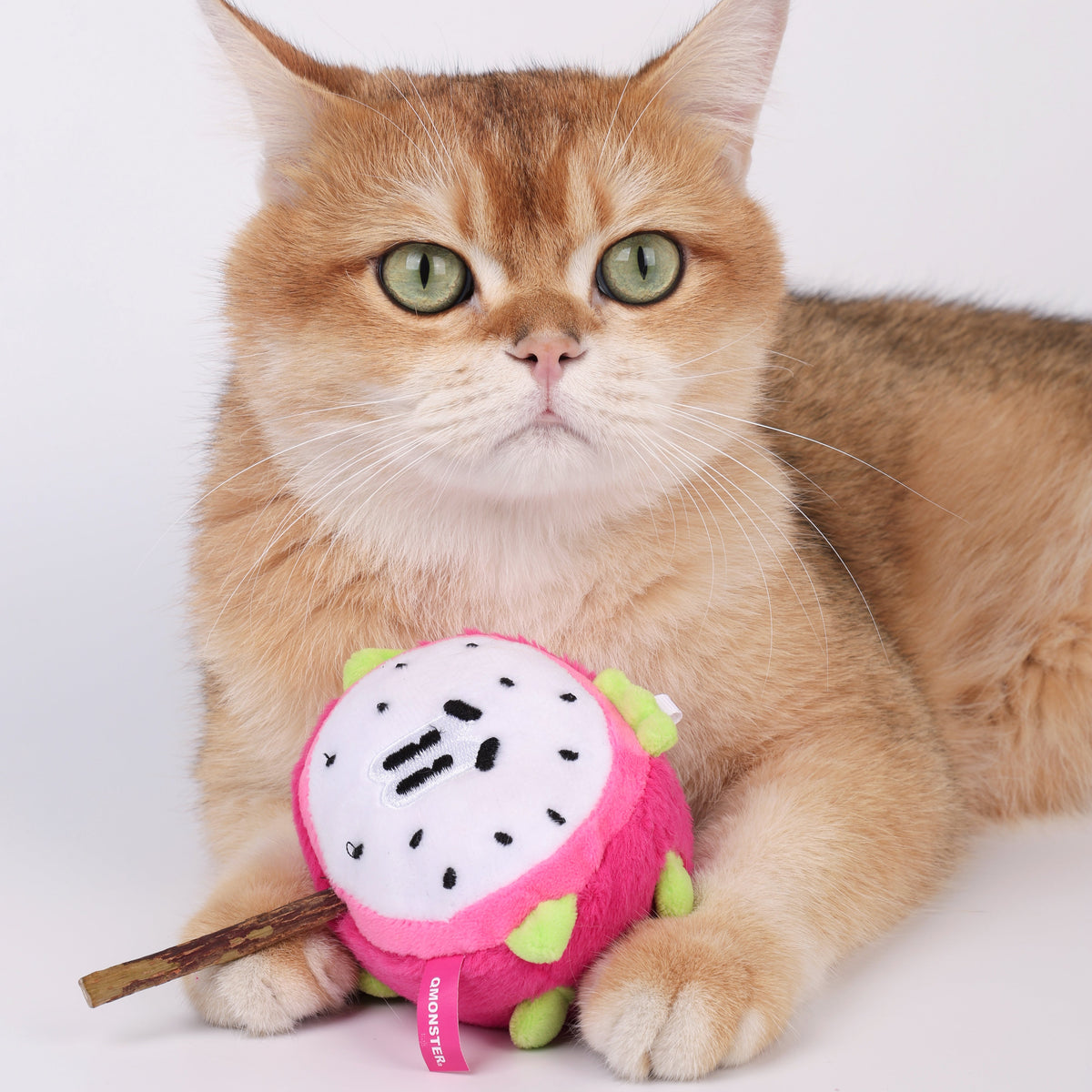 Qmonster Brinquedo para gatos - Pirulito de Matatabi com Catnip - Pitaya