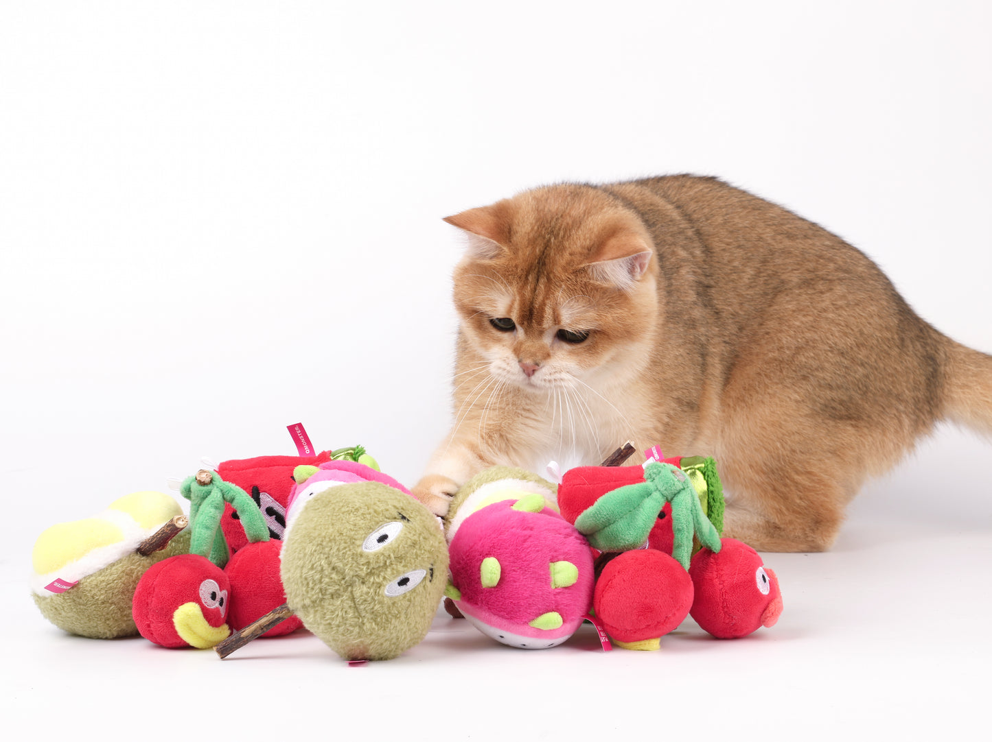Qmonster Brinquedo para gatos - Pirulito de Matatbi com Catnip - Pitaya