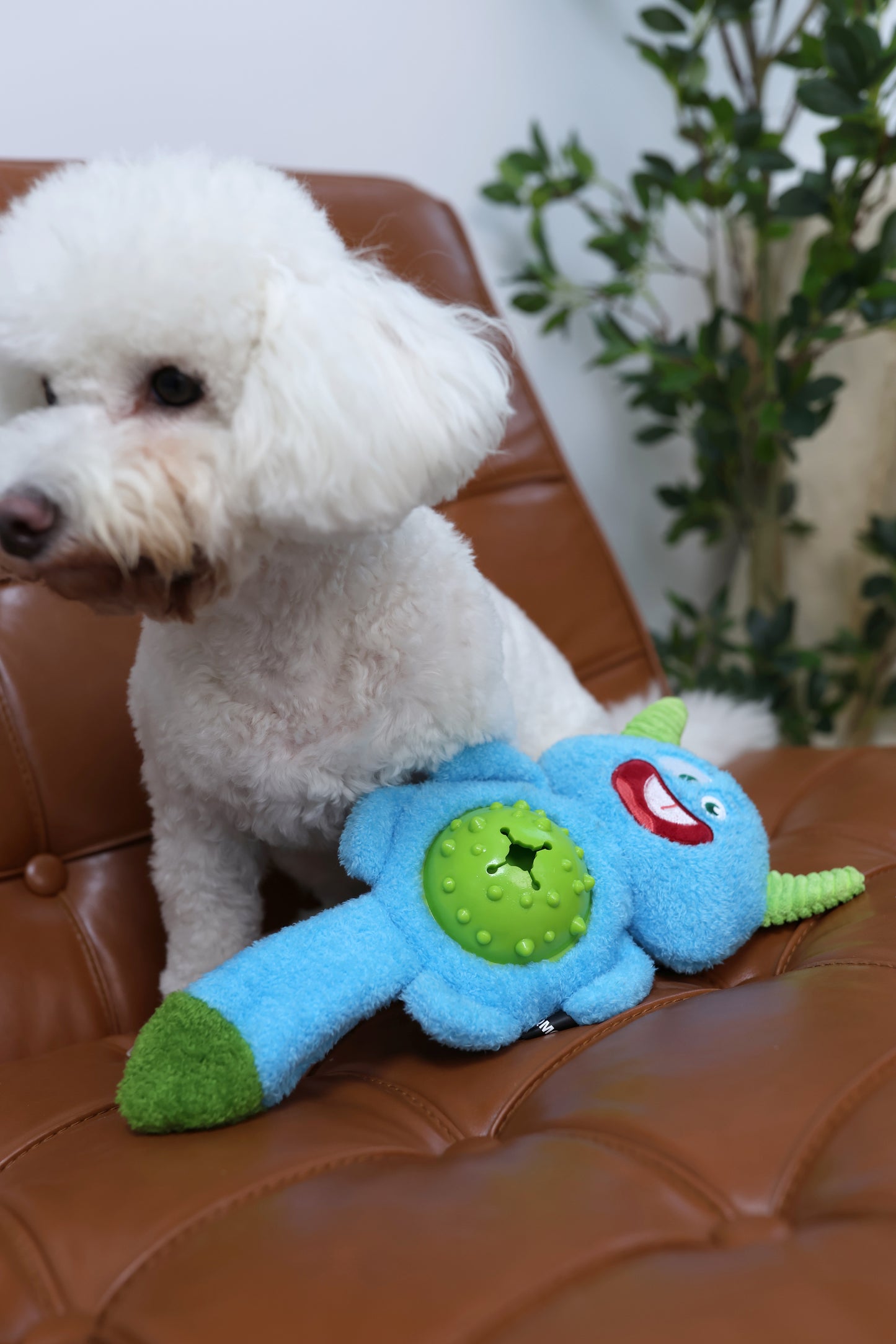 Qmonster Brinquedo para cachorros - Interativo Monstro Faminto - Azul
