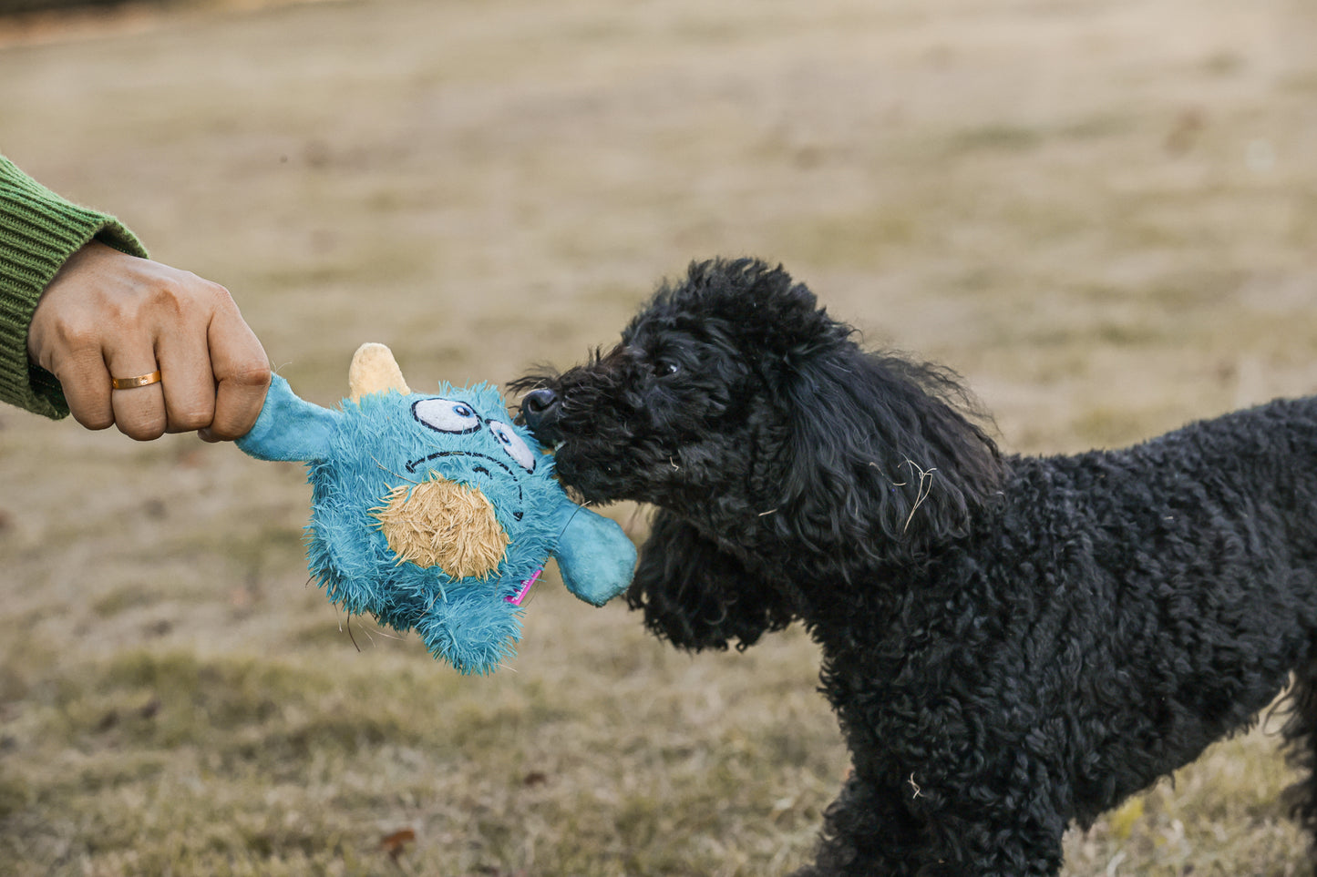 Qmonster Brinquedo para cachorro - 2in1 Monstro Gen One - Azul Grande