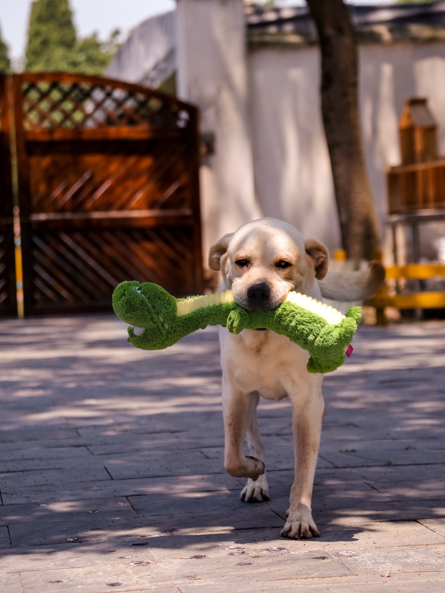Qmonster Brinquedo para cachorros - Crocodilo de Pescoço Longo