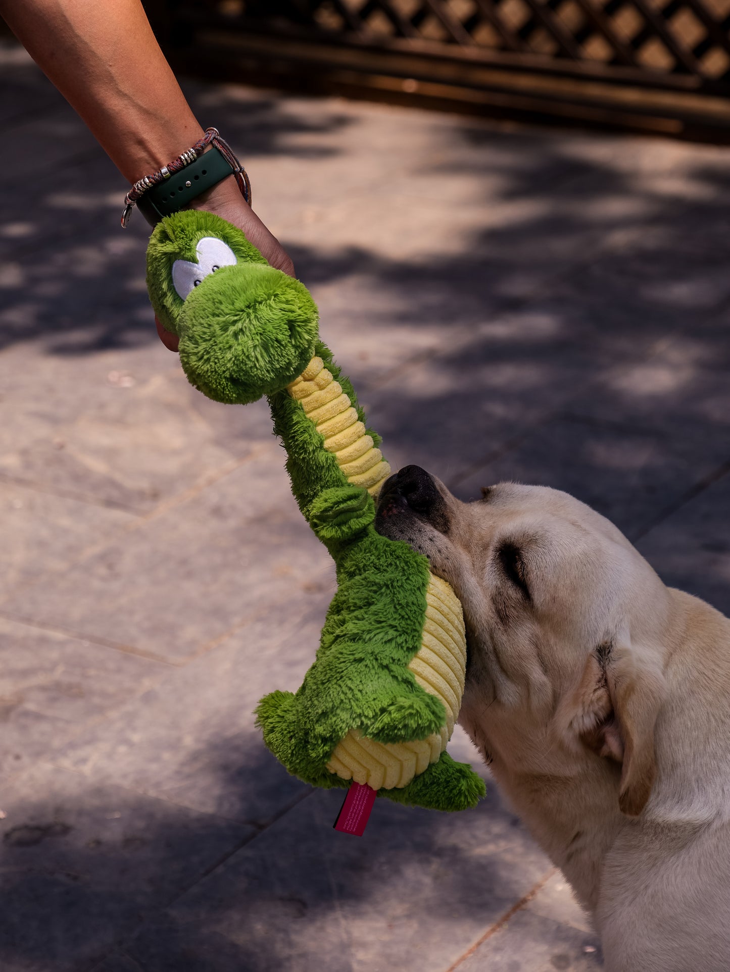 Qmonster Brinquedo para cachorros - Crocodilo de Pescoço Longo