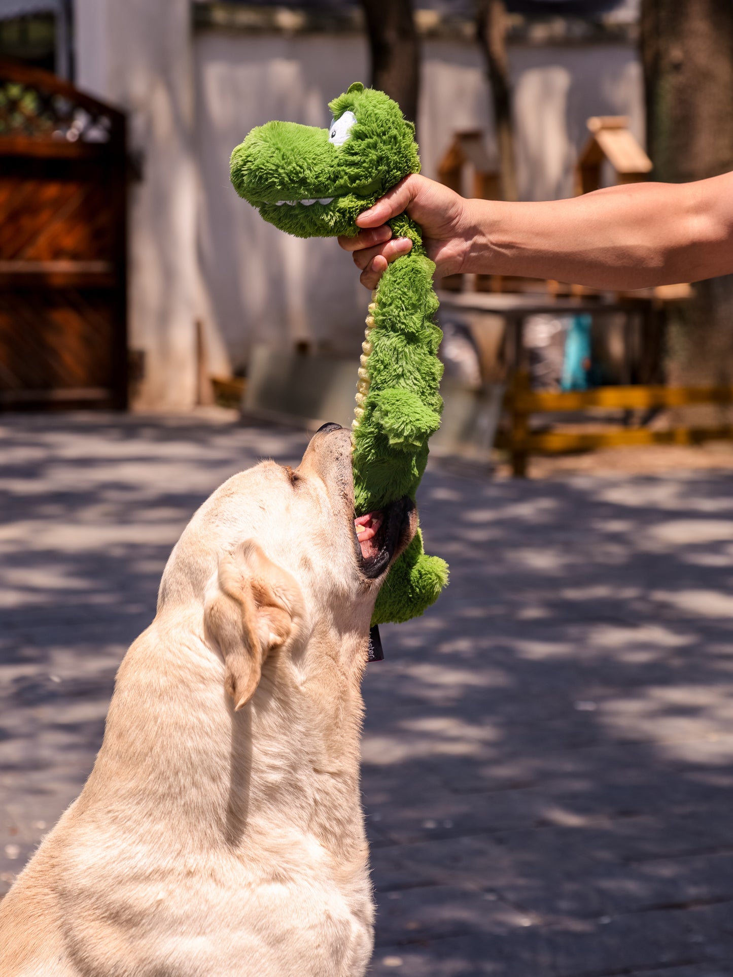 Qmonster Brinquedo para cachorros - Crocodilo de Pescoço Longo