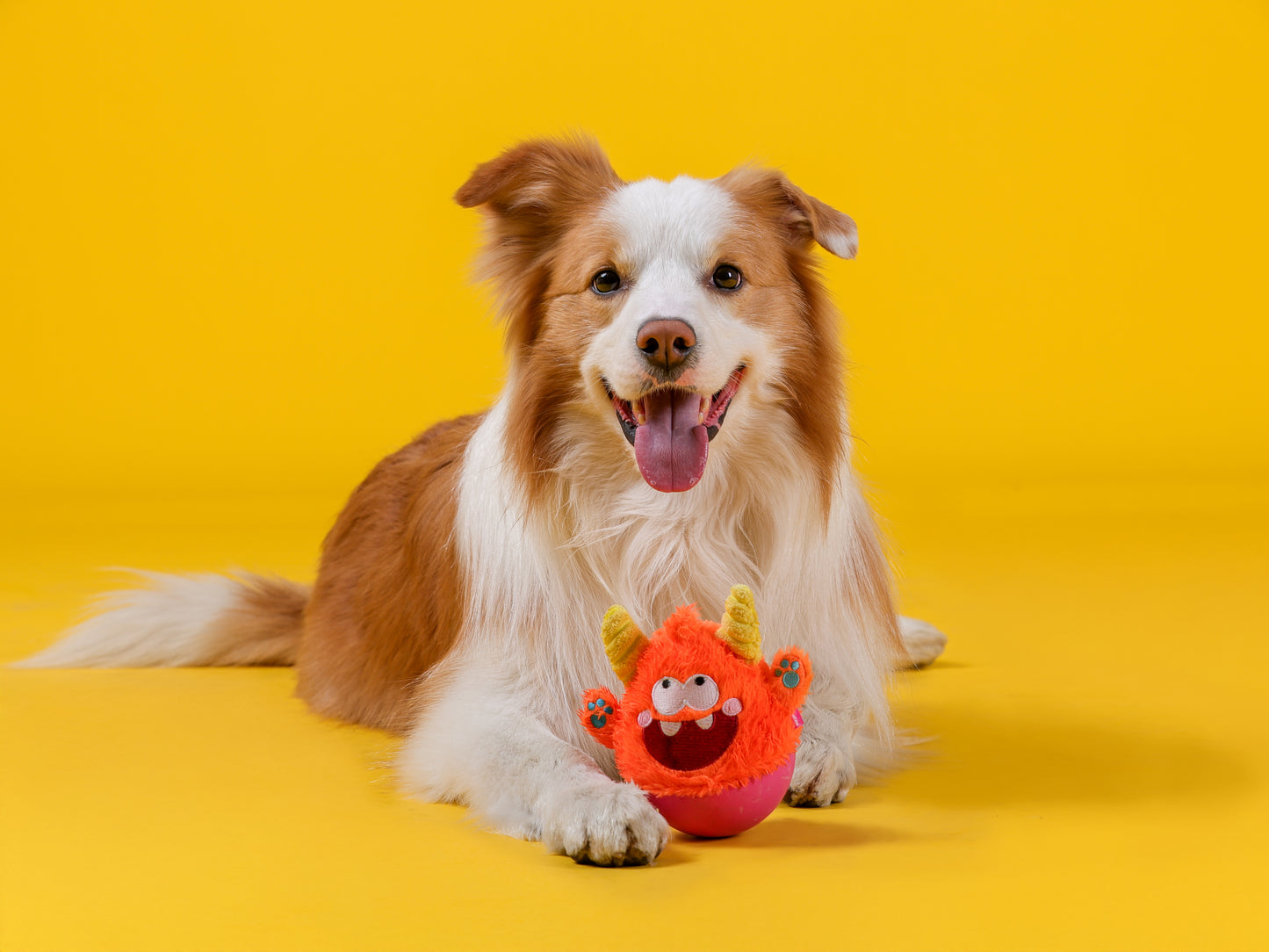 Qmonster Brinquedo para cachorro - 2em1 João Bobo - Laranja