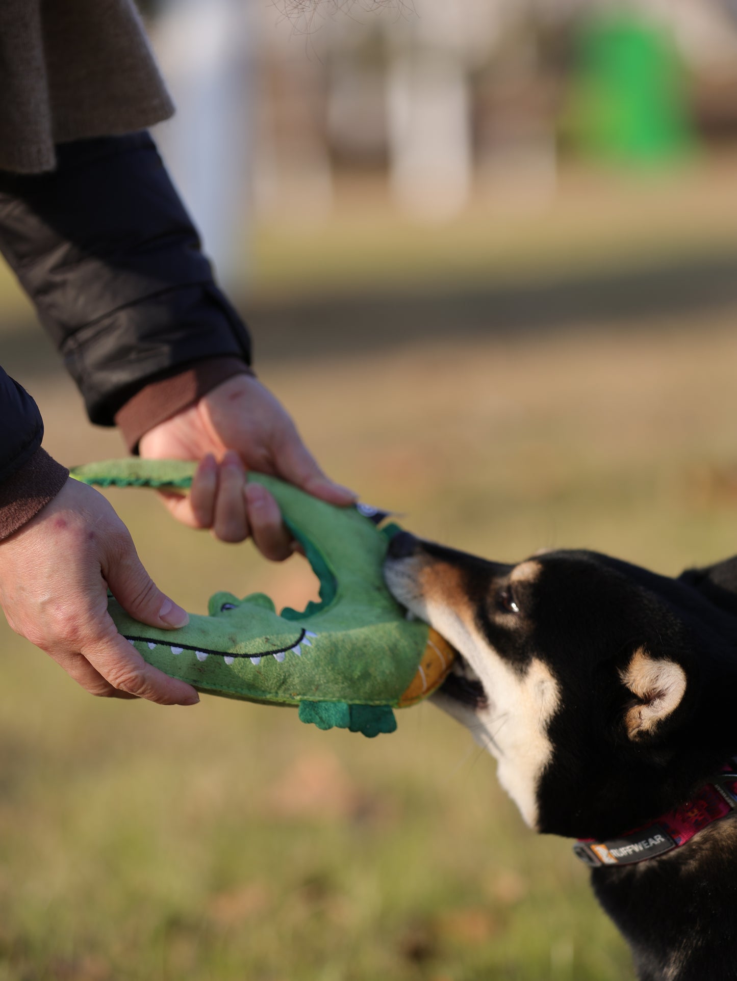 Qmonster Brinquedo para cachorro - Zoológico de Suede - Crocodilo