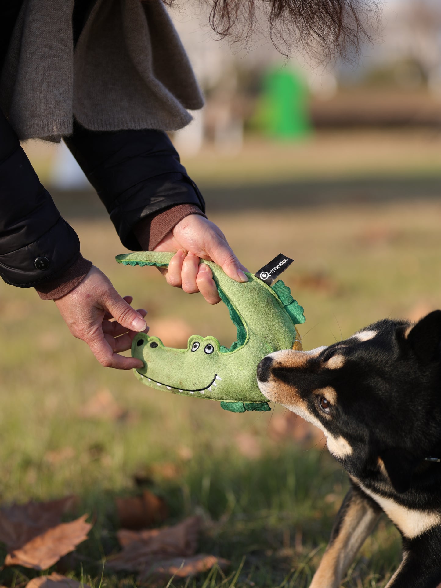 Qmonster Brinquedo para cachorro - Zoológico de Suede - Crocodilo