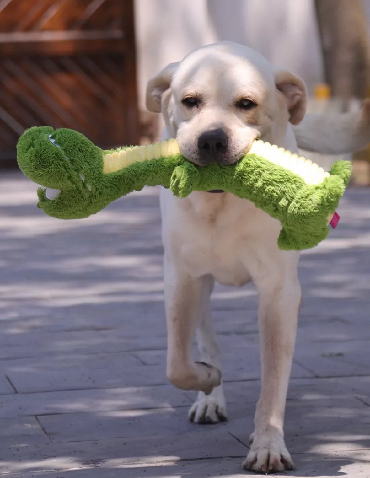 Qmonster Brinquedo para cachorros - Crocodilo de Pescoço Longo