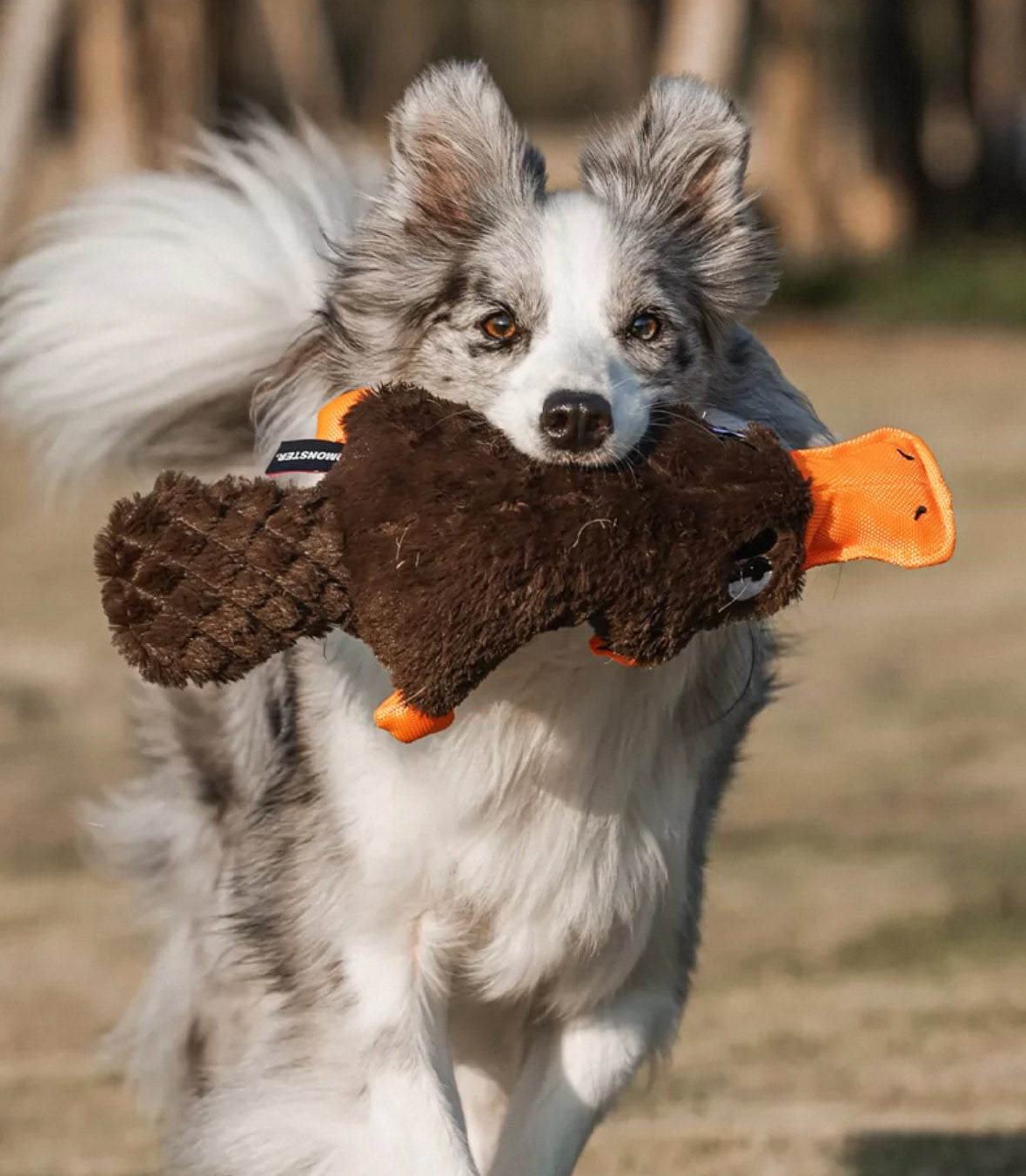 Qmonster Brinquedo para cachorro - Interativo Ornitorrinco Bravo