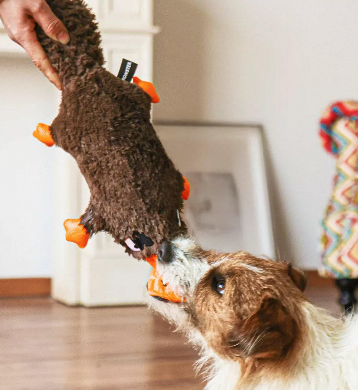Qmonster Brinquedo para cachorro - Interativo Ornitorrinco Bravo