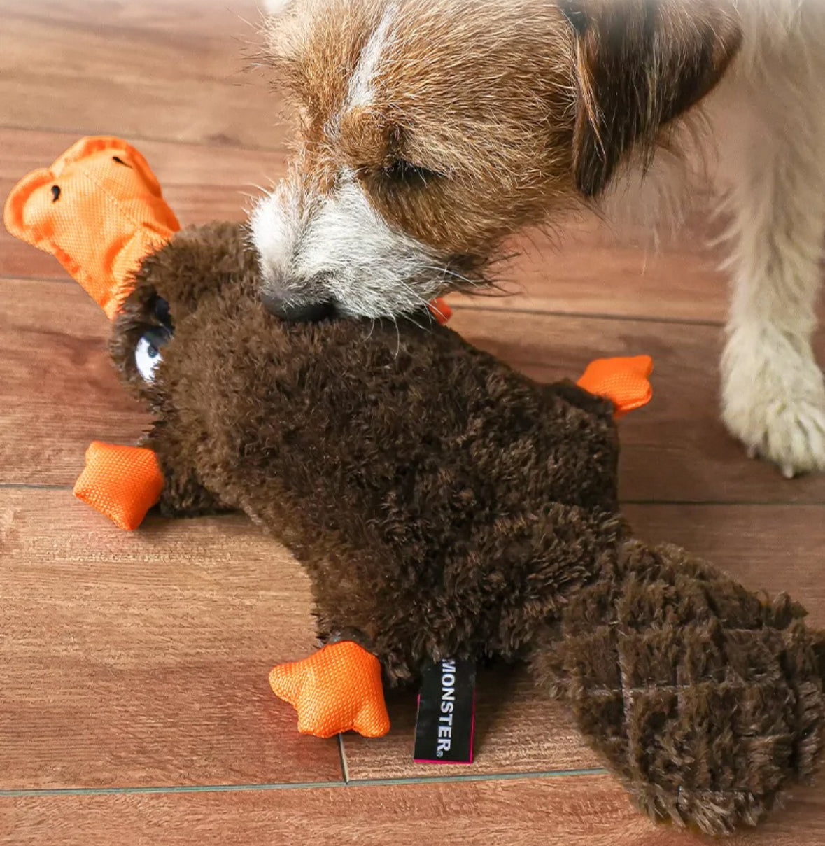 Qmonster Brinquedo para cachorro - Interativo Ornitorrinco Bravo