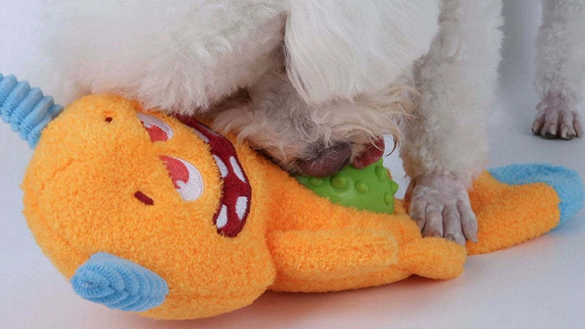 Qmonster Brinquedo para cachorros - Interativo Monstro Faminto - Laranja