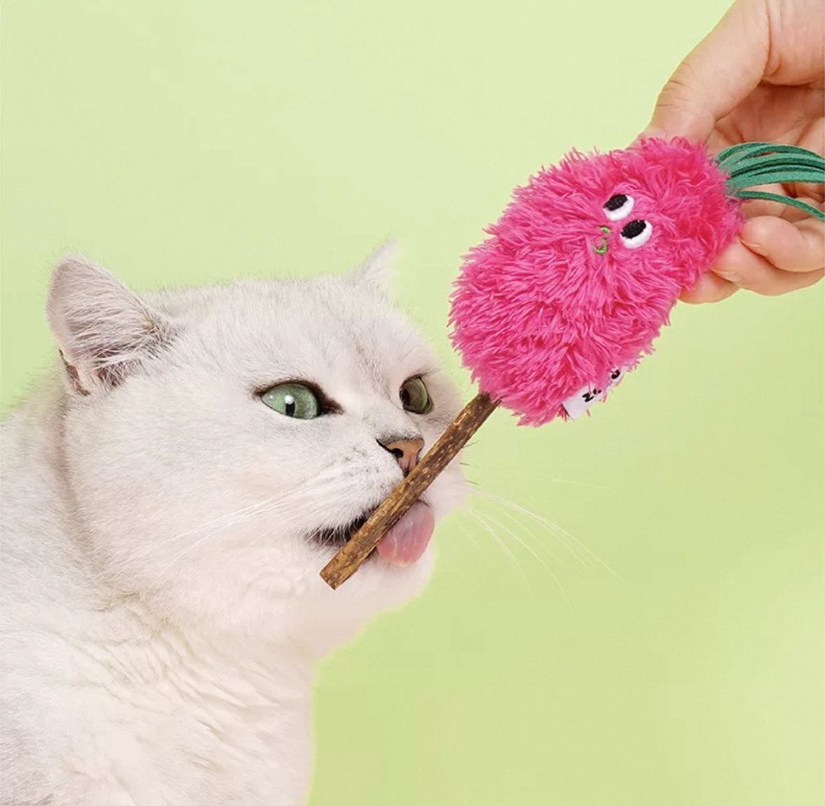 zeze Brinquedo para gatos - Pirulito de Matatbi com Catnip Vol.3