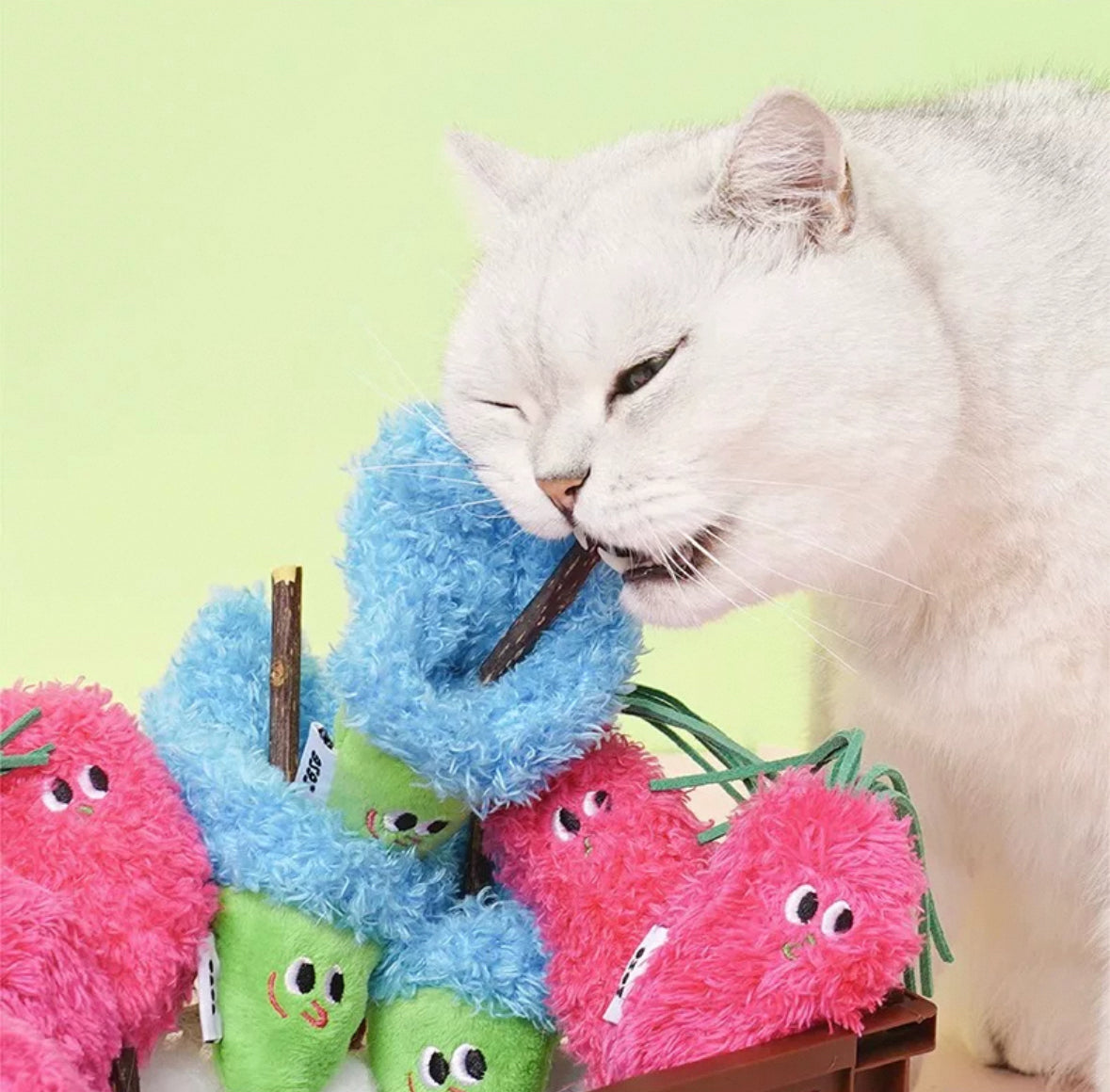 zeze Brinquedo para gatos - Pirulito de Matatbi com Catnip Vol.3
