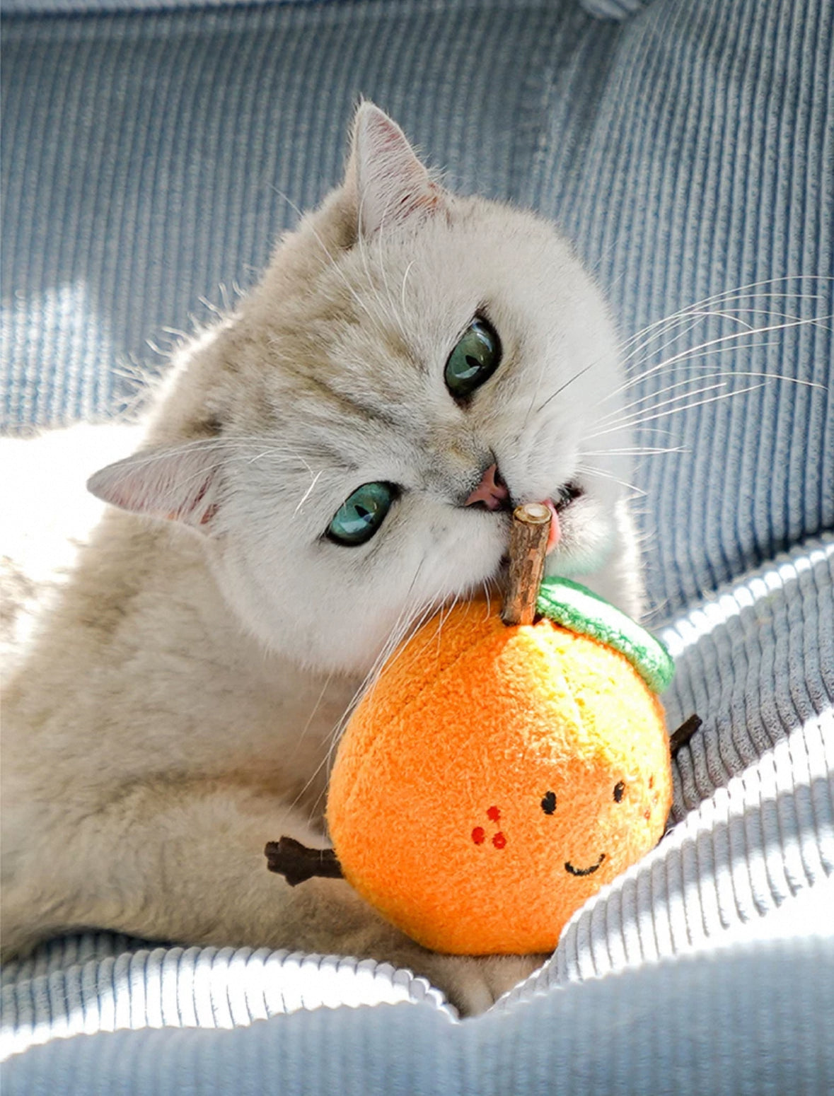 zeze Brinquedo para gatos - Pirulito de Matatbi com Catnip Vol.2