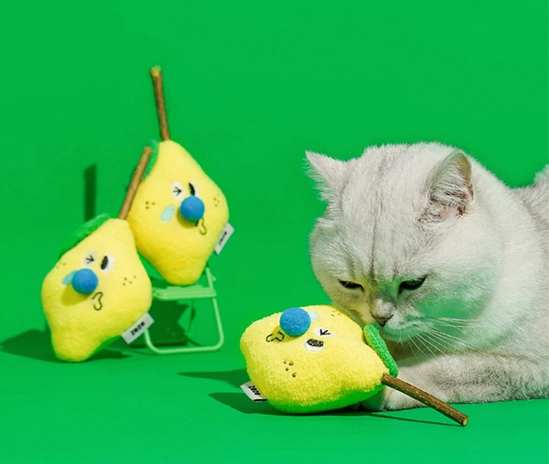 zeze Brinquedo para gatos - Pirulito de Matatbi com Catnip Vol.2