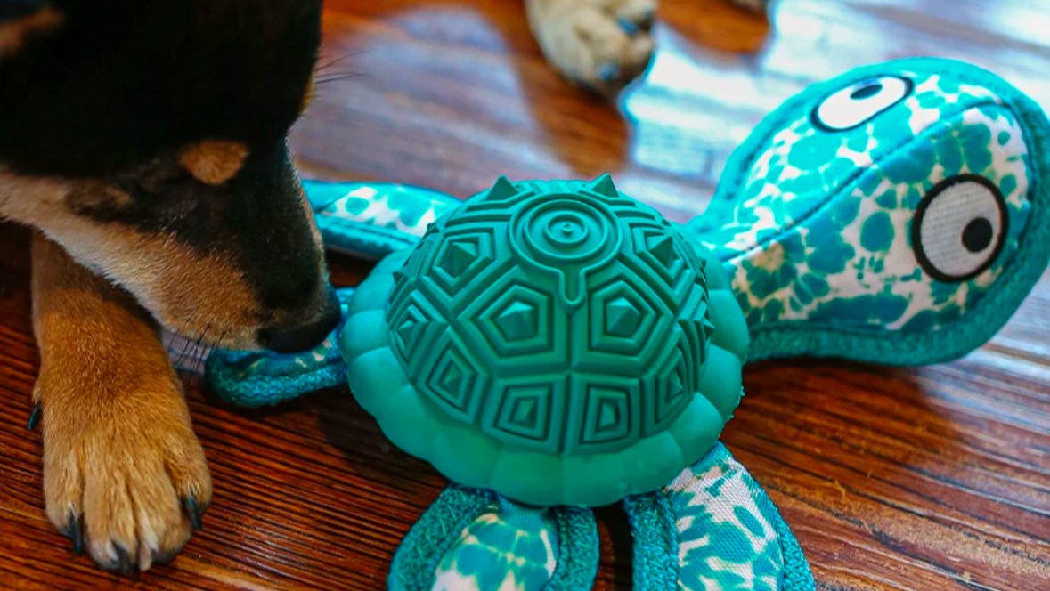 Qmonster Brinquedo para cachorro - Tartaruga Marinha 2in1 brinquedo e dispensador de pesticos