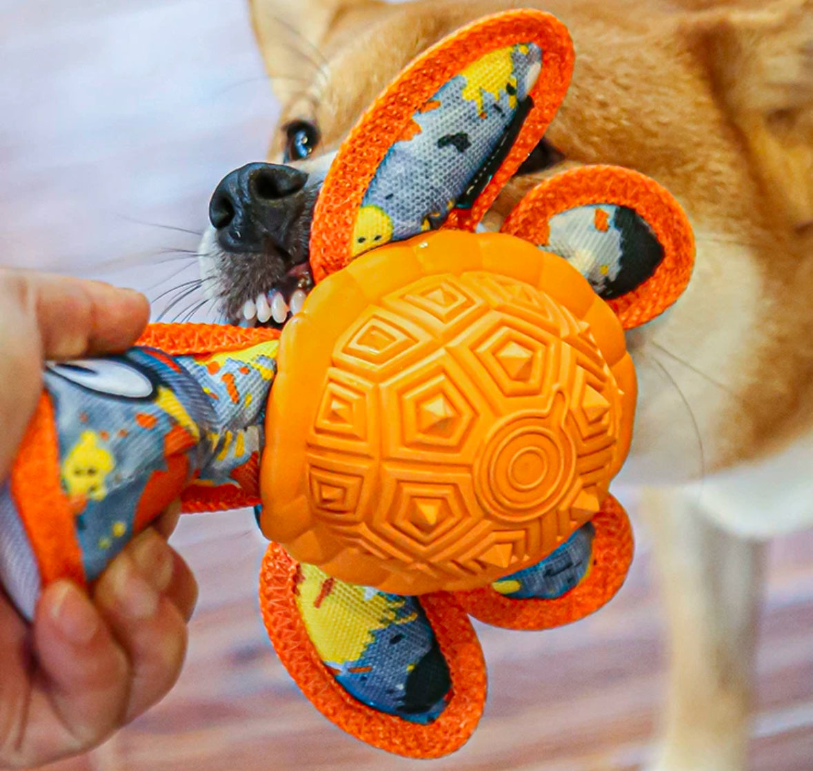 Qmonster Brinquedo para cachorro - Tartaruga Marinha 2in1 brinquedo e dispensador de pesticos
