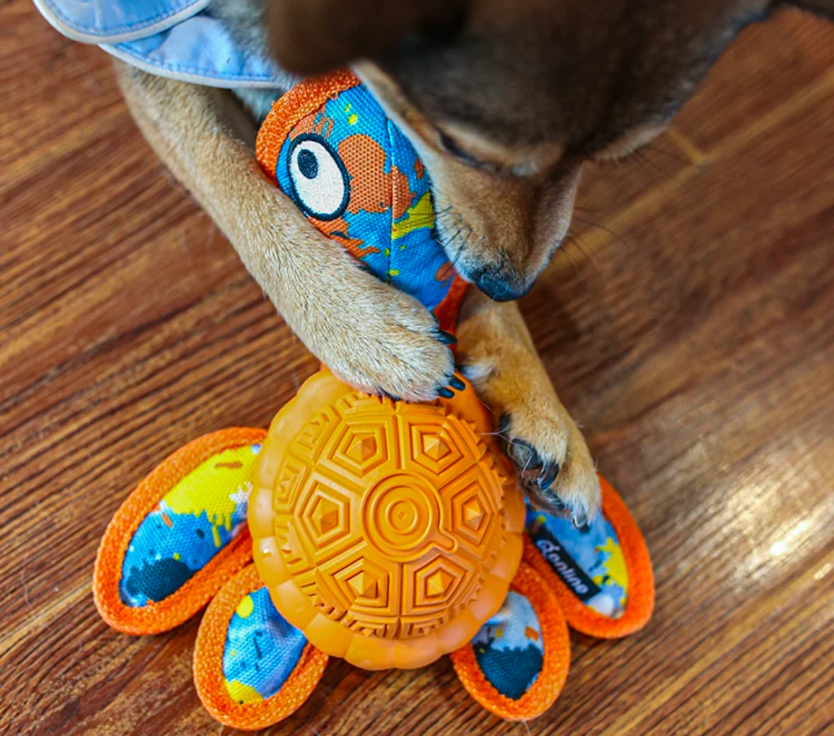 Qmonster Brinquedo para cachorro - Tartaruga Marinha 2in1 brinquedo e dispensador de pesticos