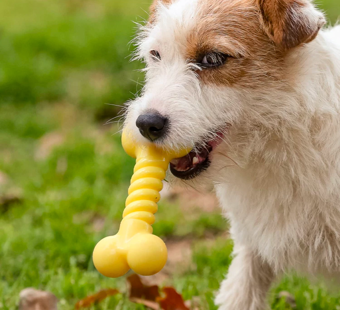 Qmonster Brinquedo Para Cachorro - Candy Bones - Verde